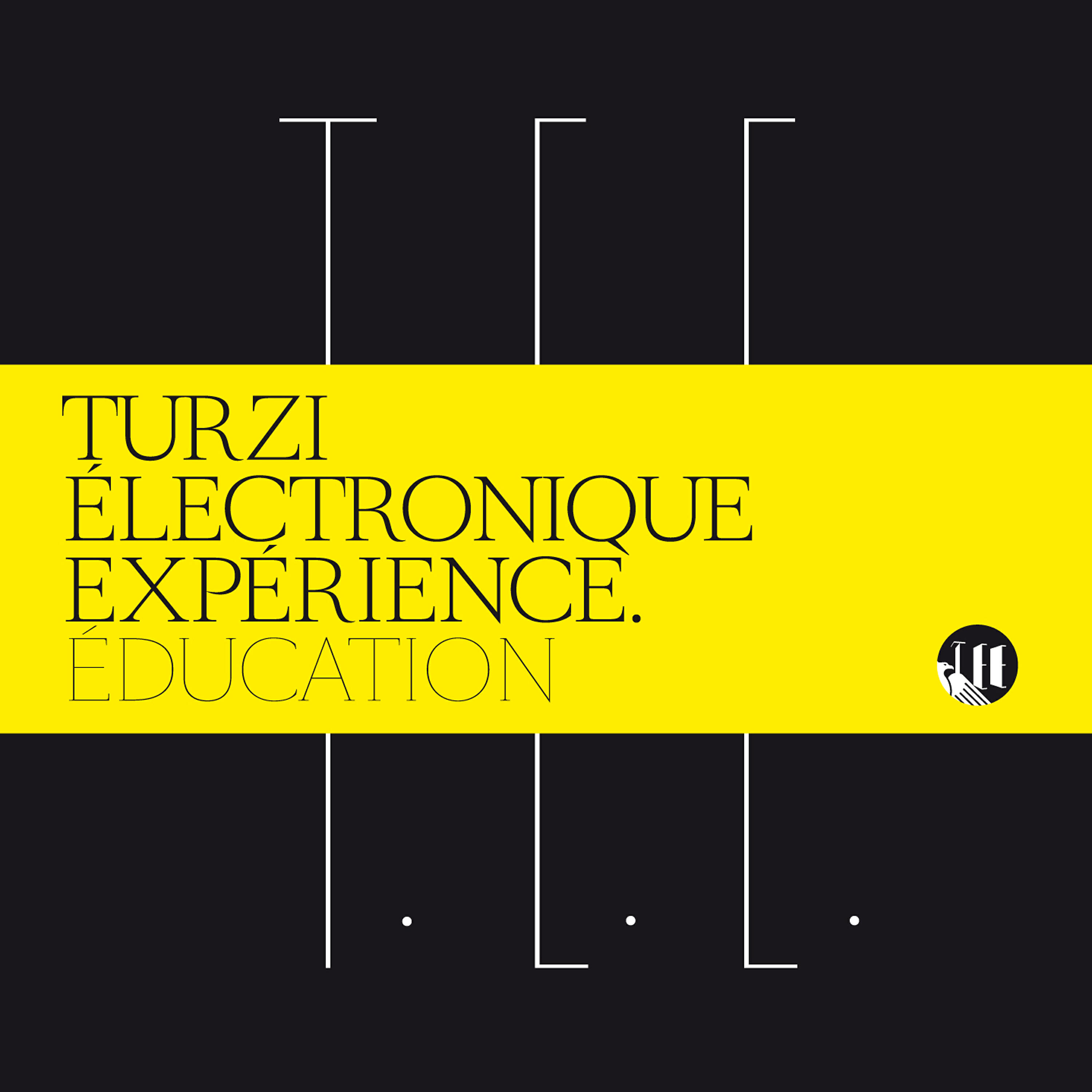 Turzi Electronique Expérience - Déviance