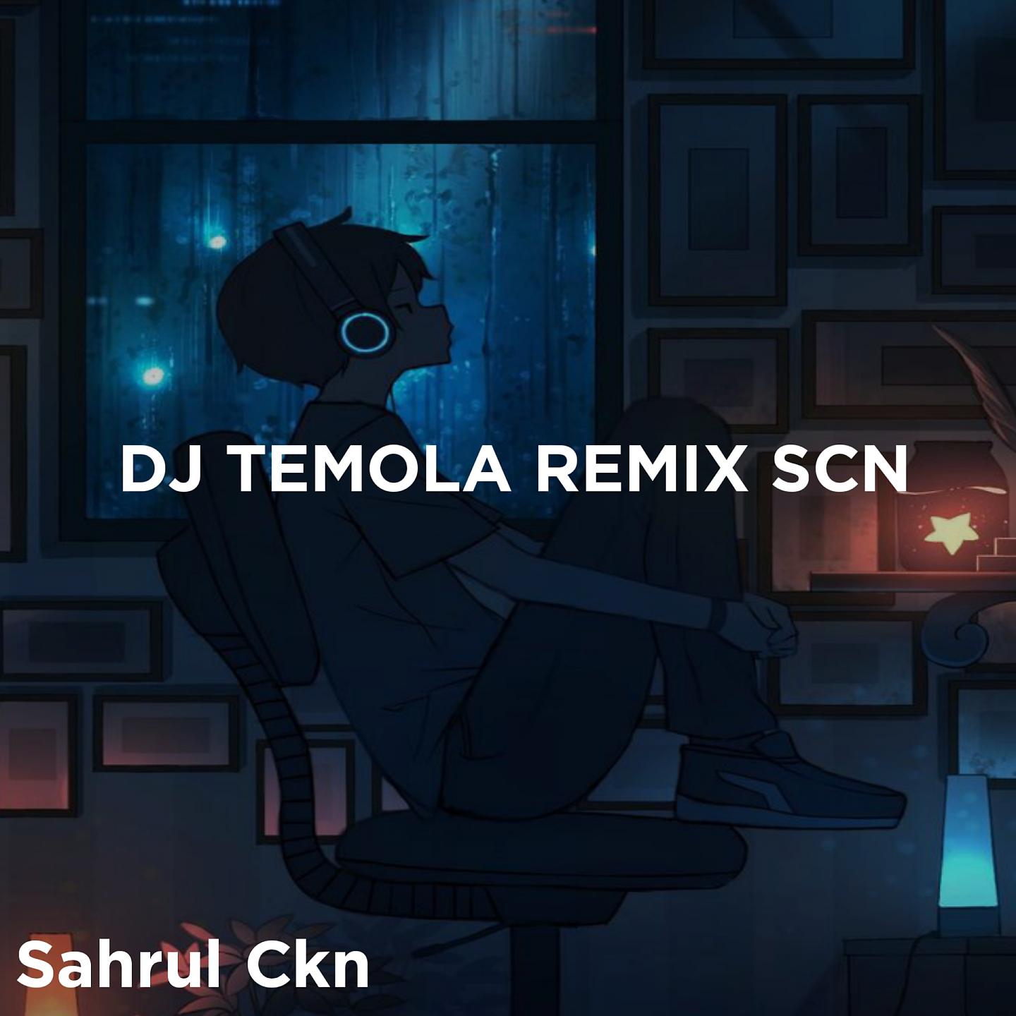 Постер альбома DJ Temola Remix SCN