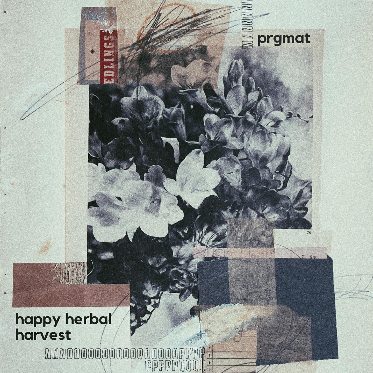 PRGMAT - Datura Stramonium