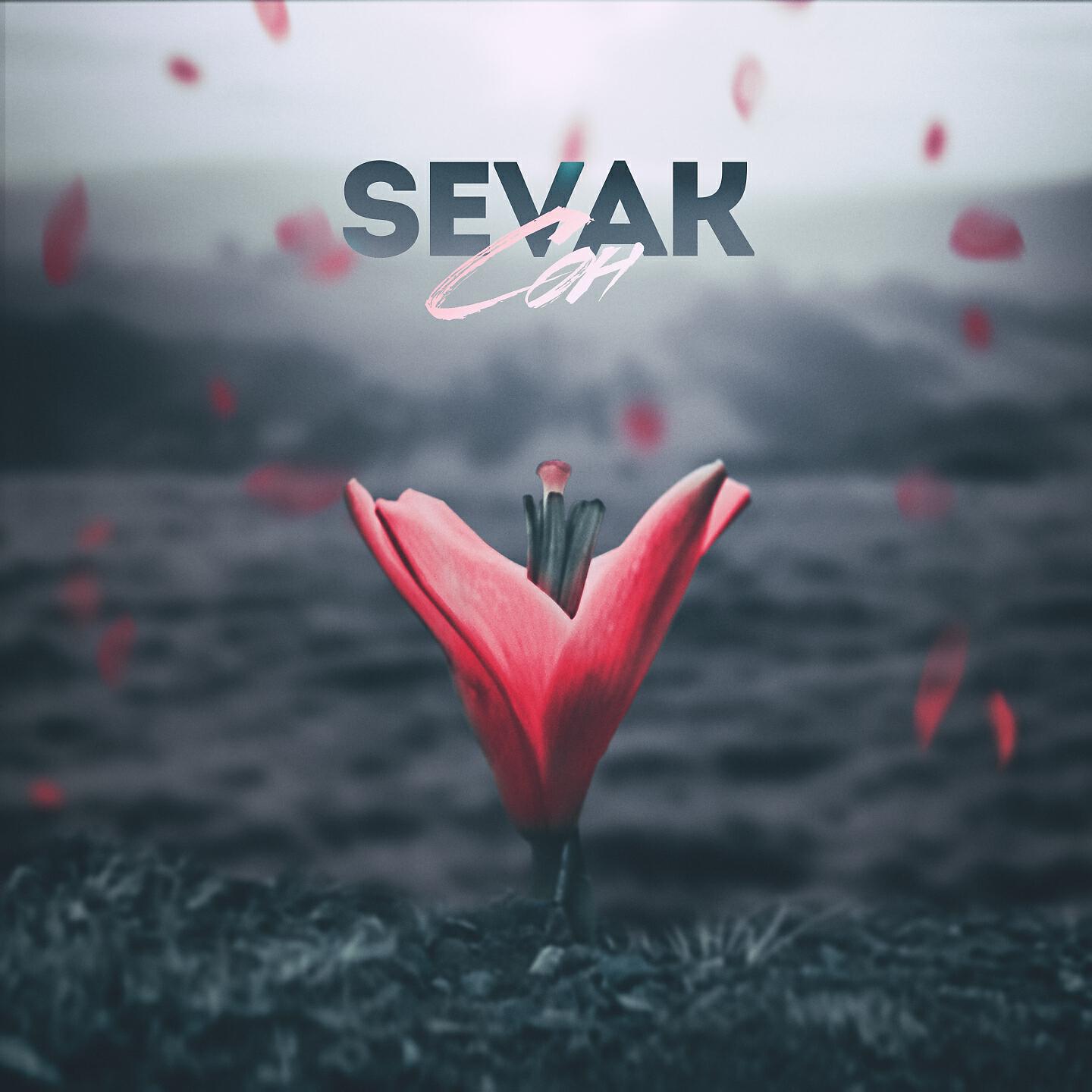 Sevak - Сон