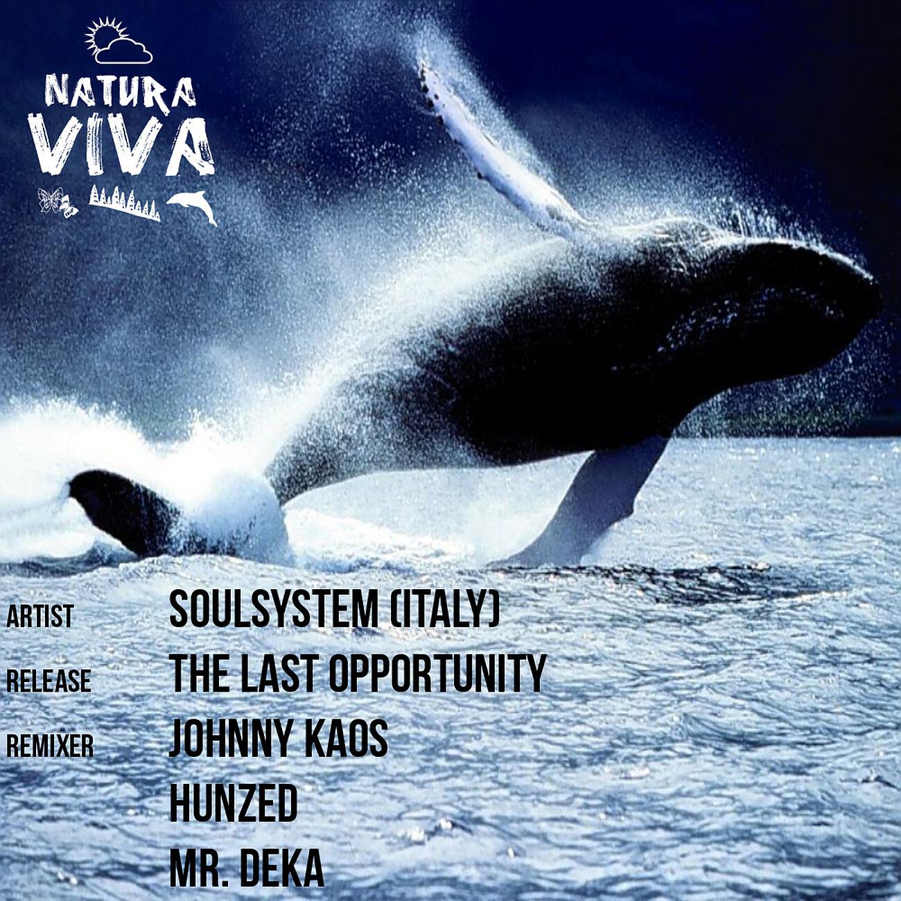 Soulsystem (Italy) - The Last Opportunity (Johnny Kaos Remix)