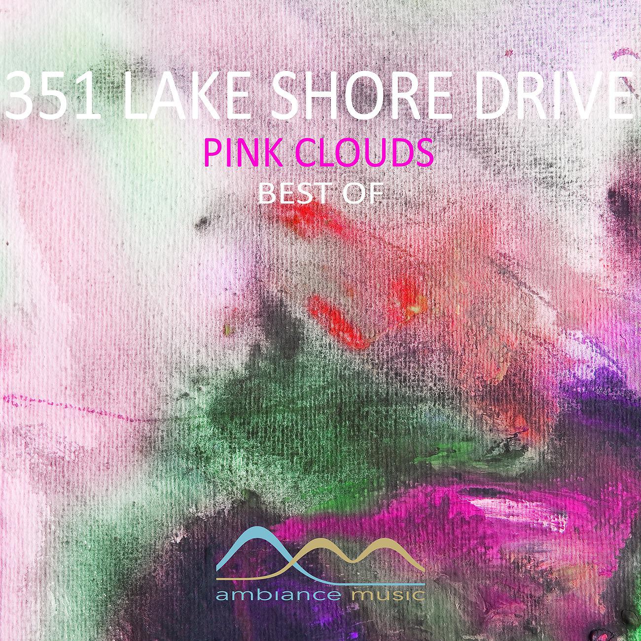 351 Lake Shore Drive - Visualize Your Face