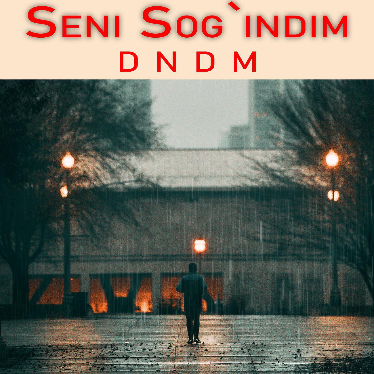 DNDM - Seni sog'indim