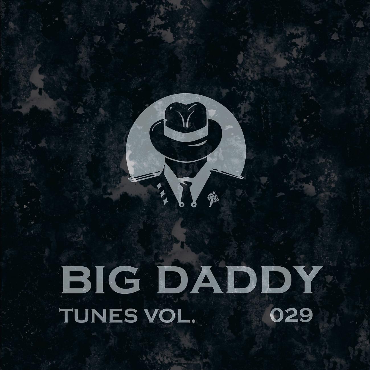 Постер альбома Big Daddy Tunes, Vol.029