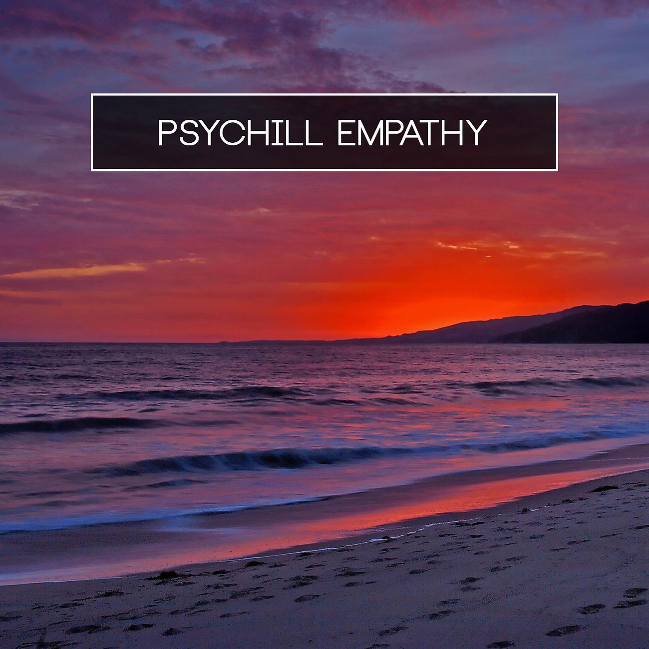 Постер альбома Psychill Empathy