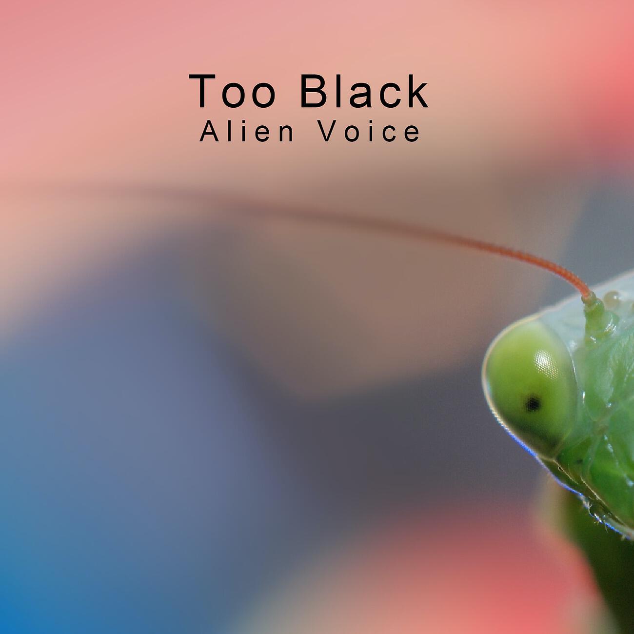 Alien voices