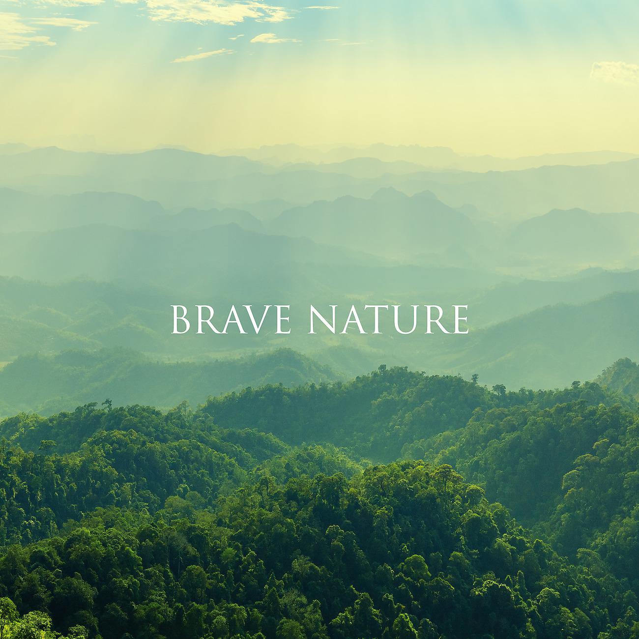 Постер альбома Brave Nature
