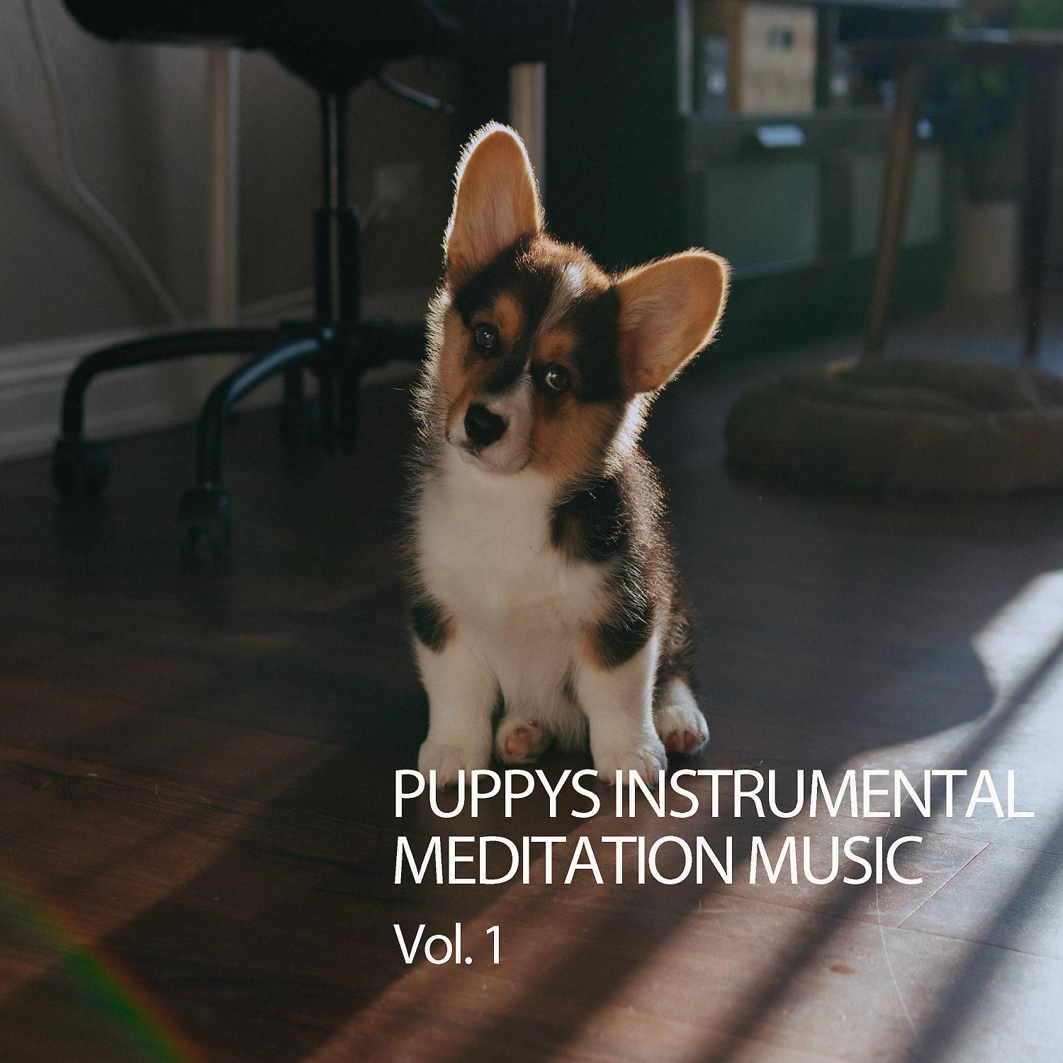 Постер альбома Puppys Instrumental Meditation Music Vol. 1