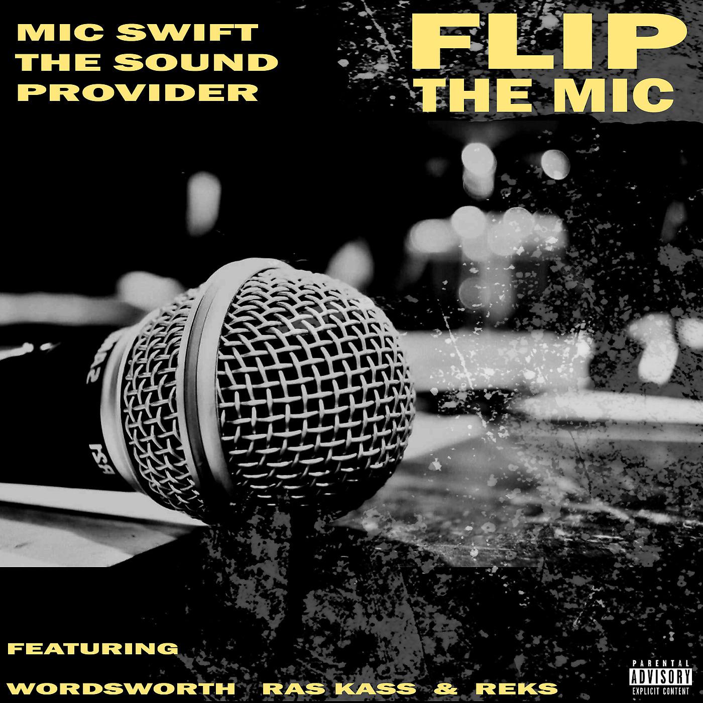 Постер альбома Flip the Mic