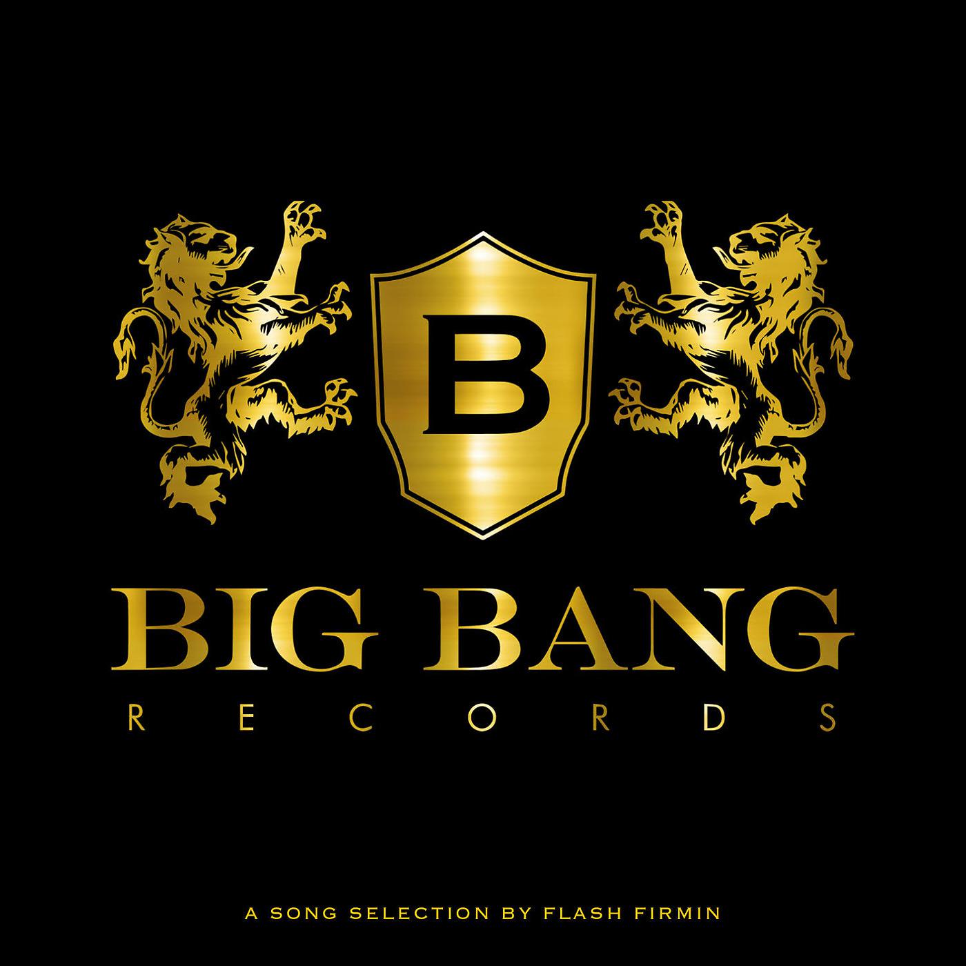 Постер альбома Big Bang Compilation (A Song Selection by Flash Firmin )