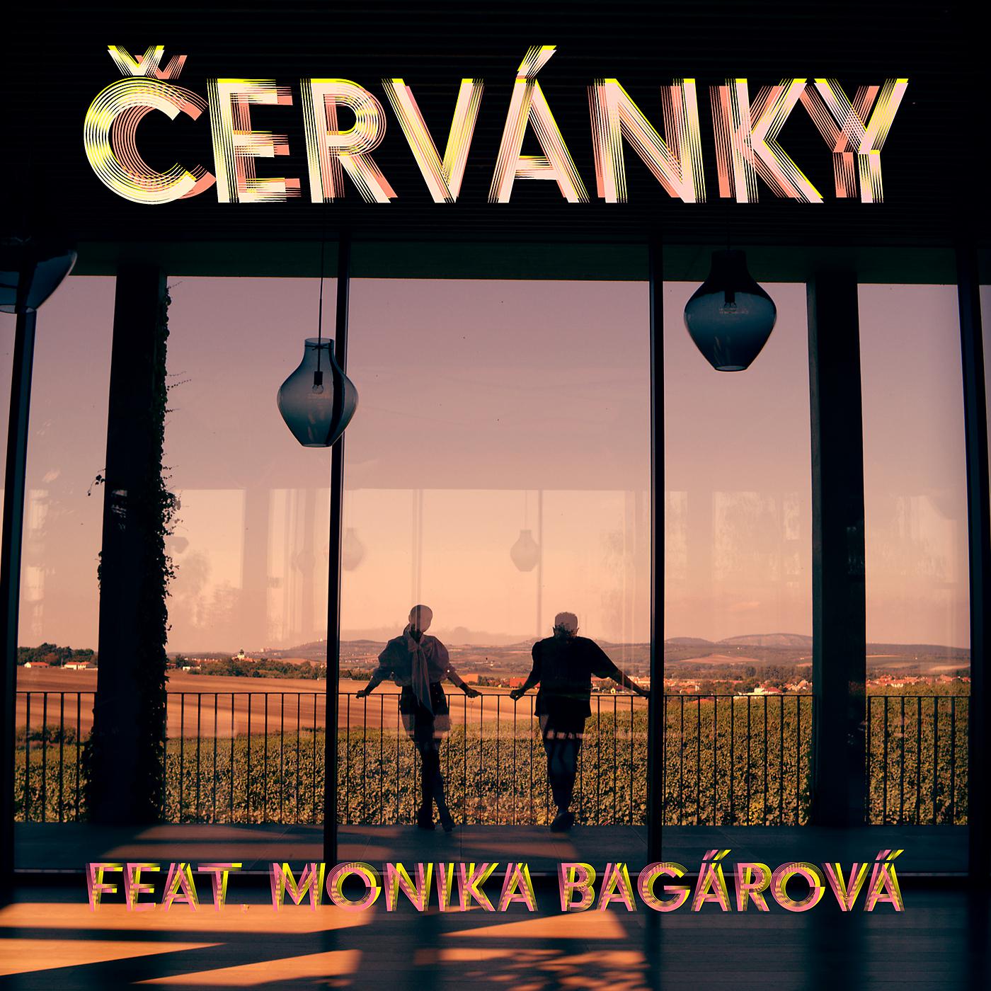 Постер альбома Červánky