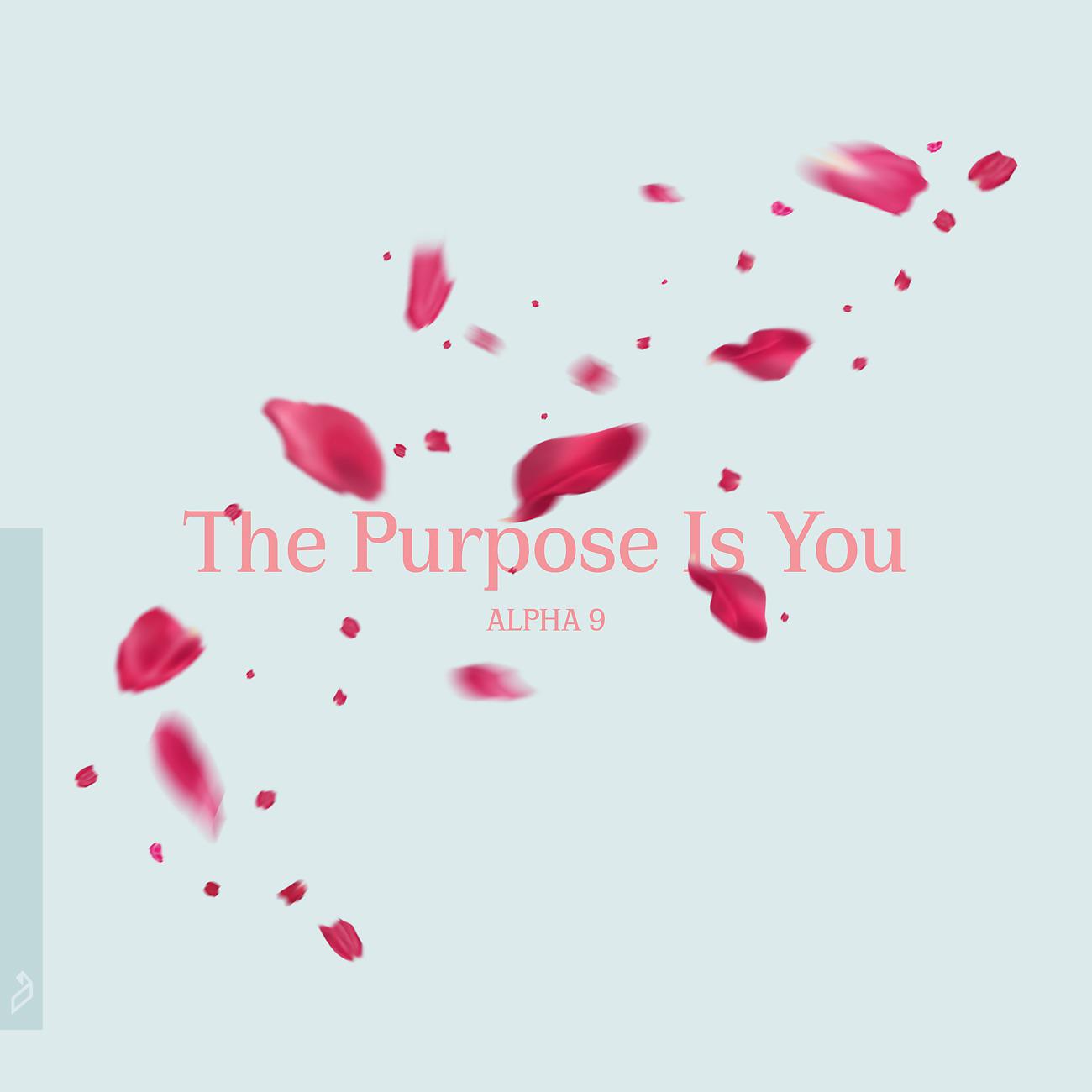 Постер альбома The Purpose Is You