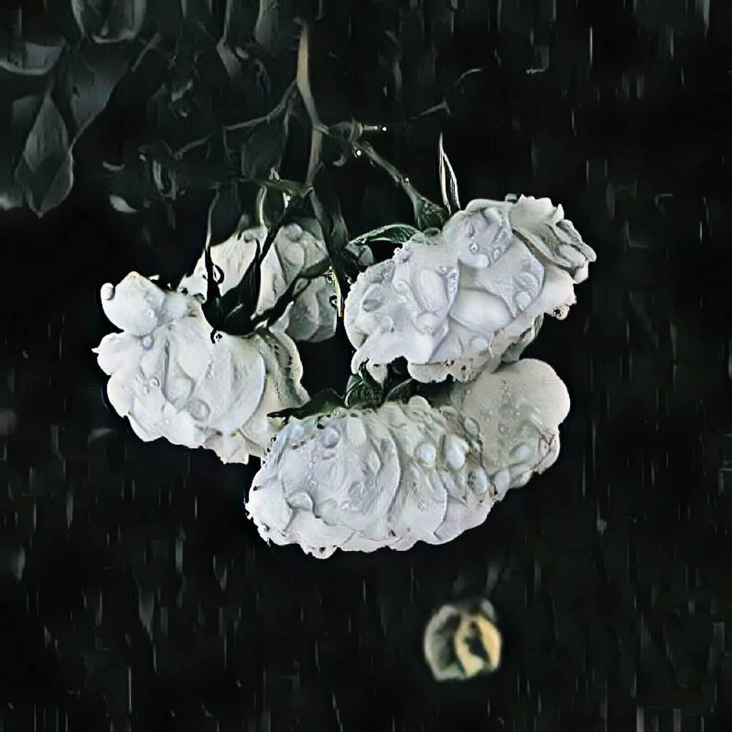 Hironishi Azuki - Loves Wants
