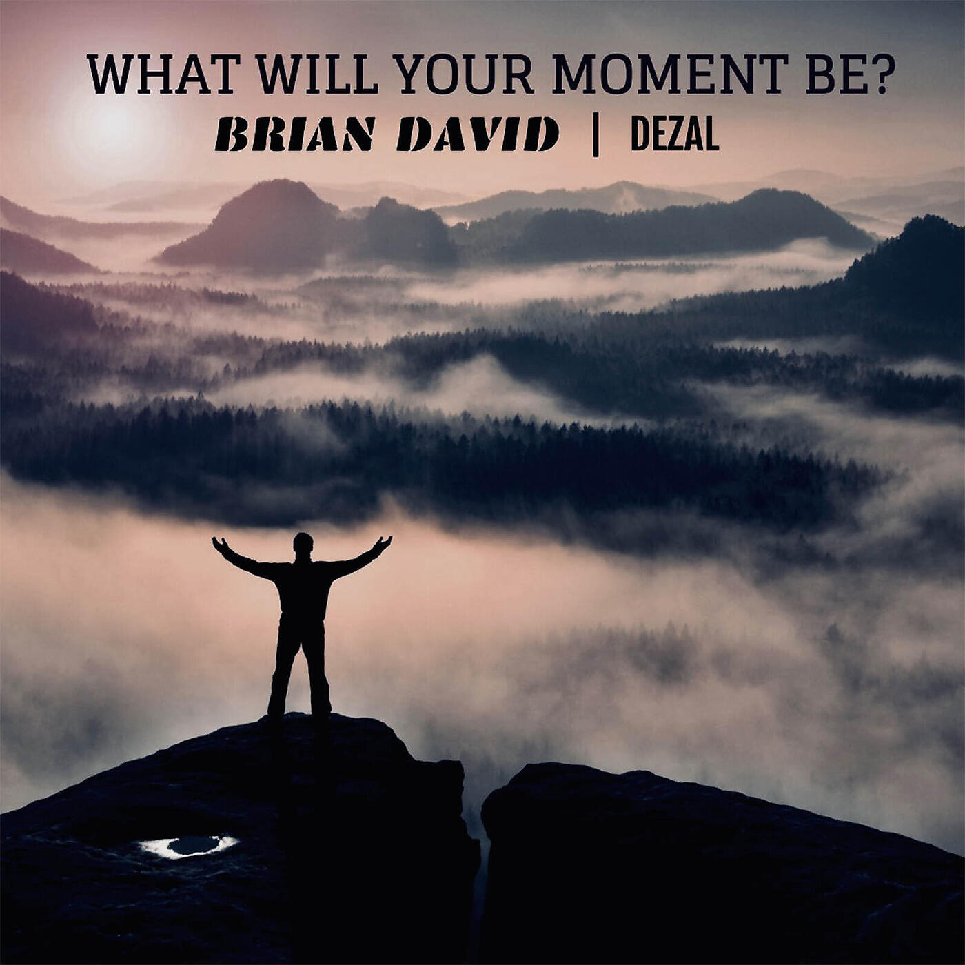 Brian David - What Will Your Moment Be?