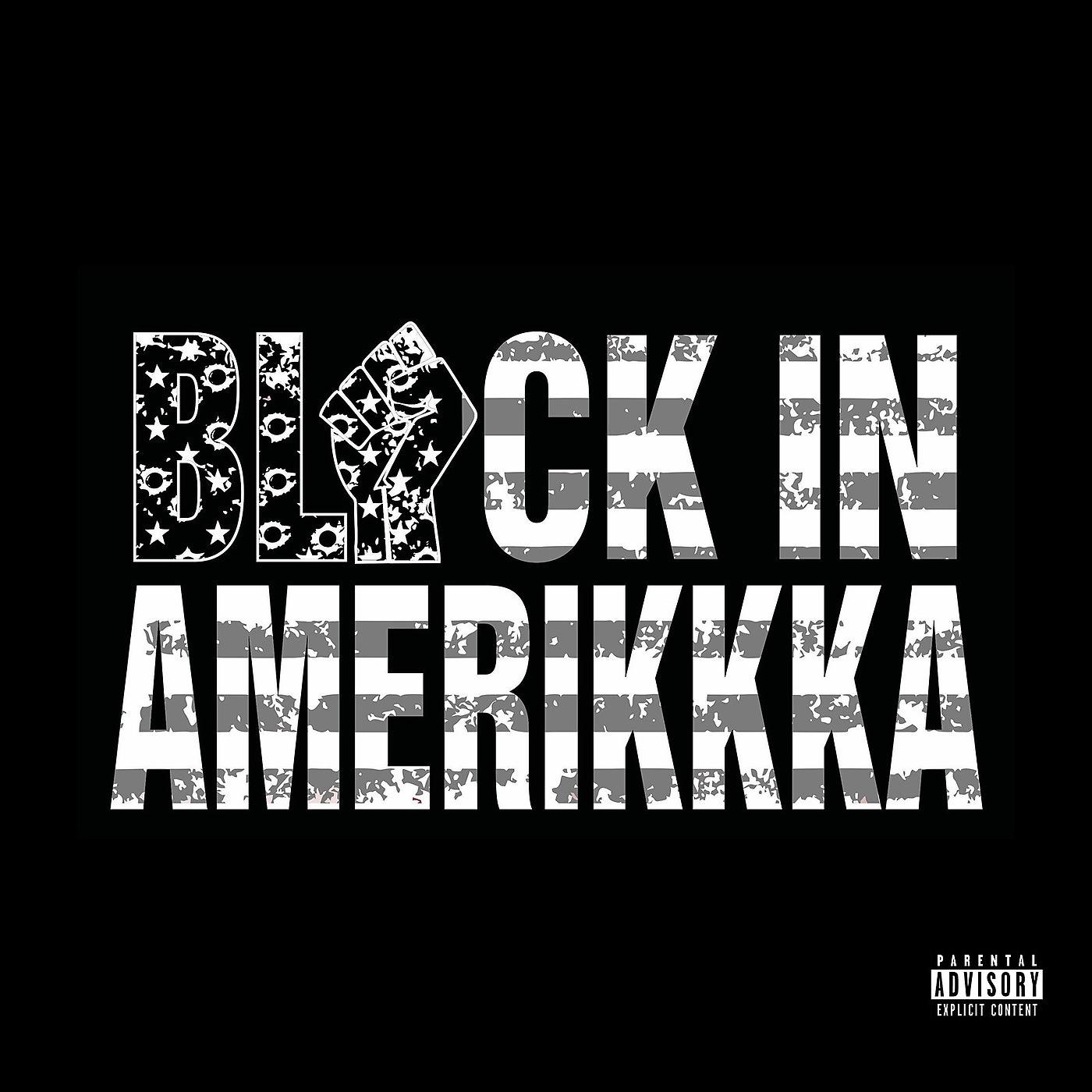 Постер альбома Black in Amerikkka