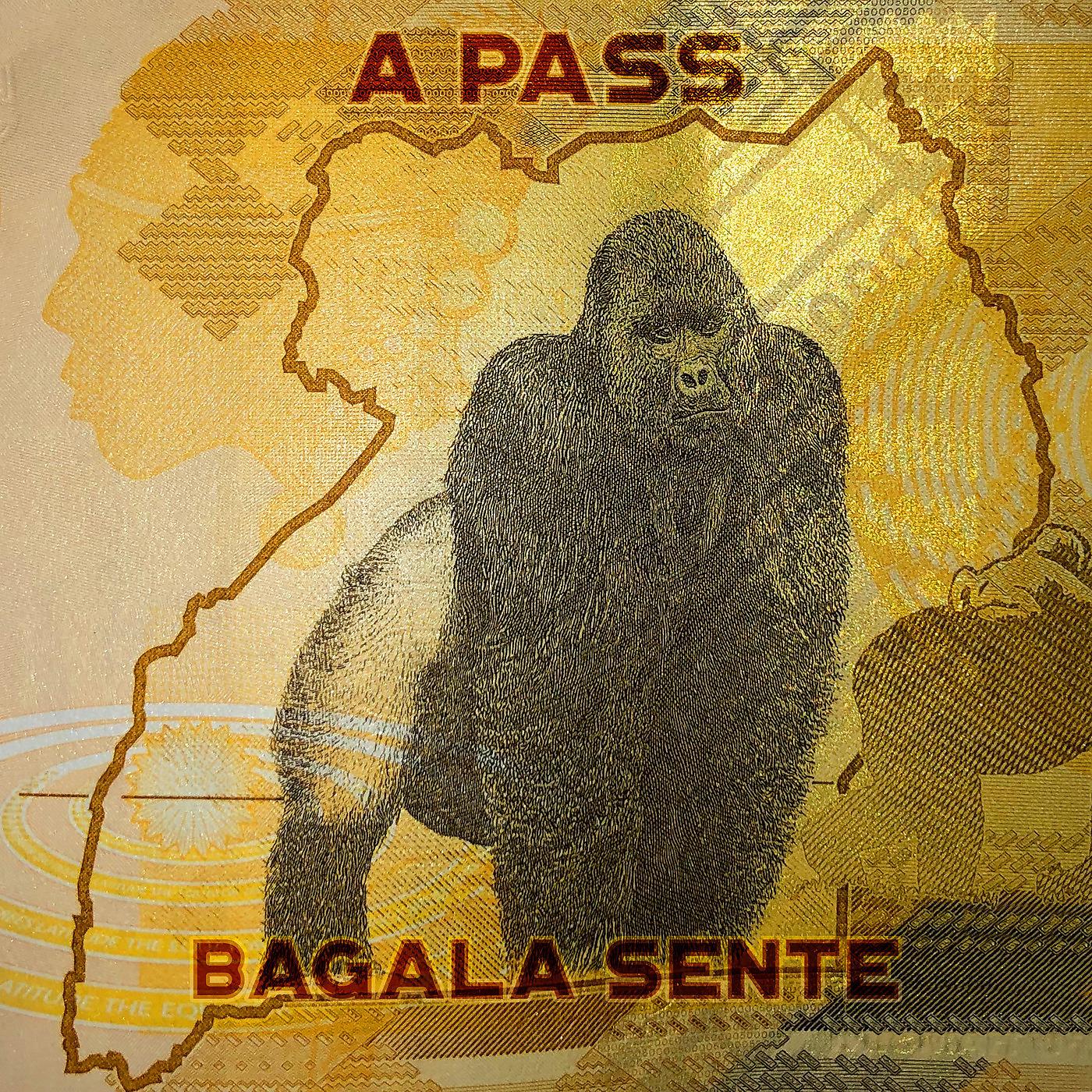 Постер альбома Bagala Sente
