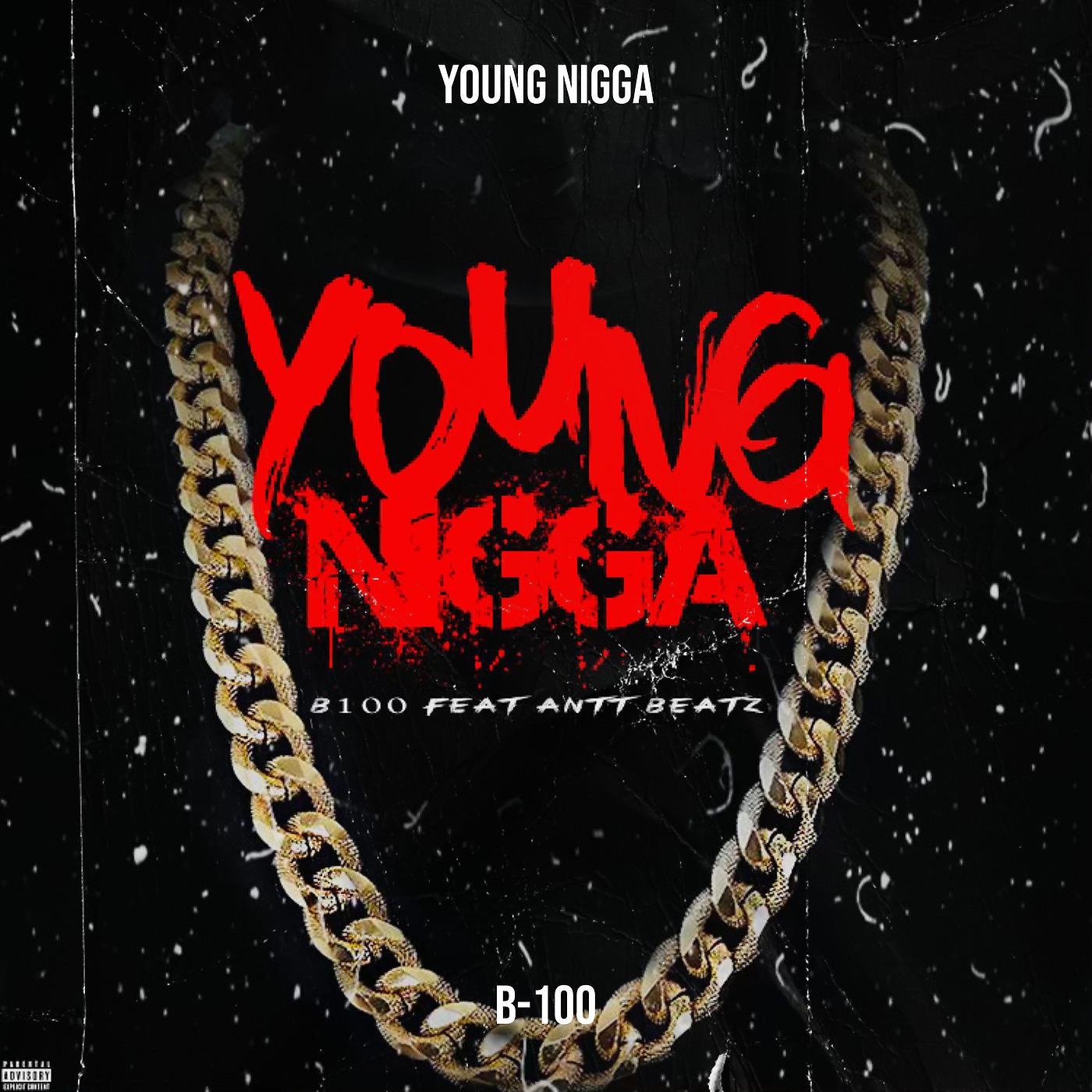 Постер альбома Young Nigga