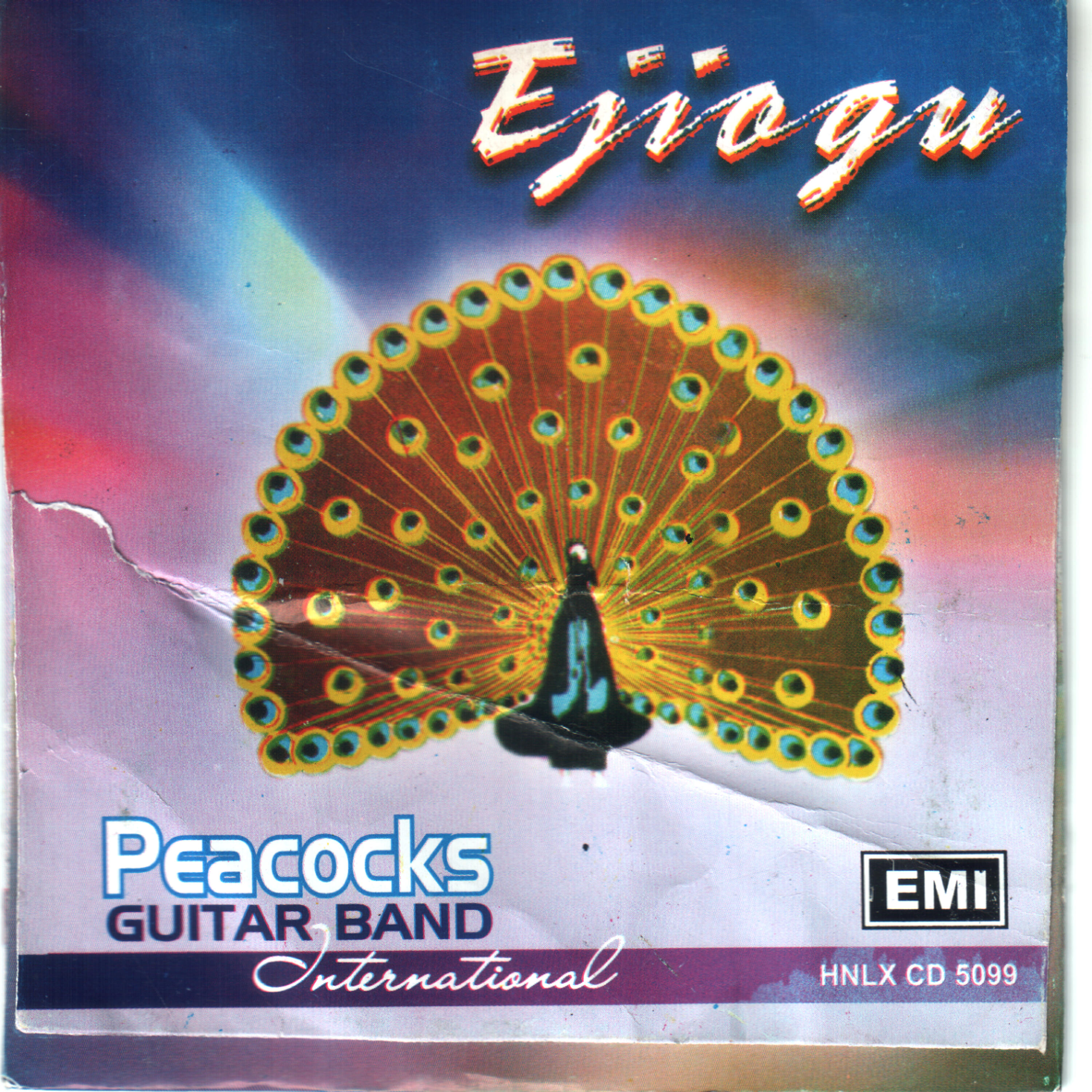 Peacocks Guitar Band International - Odo Biro