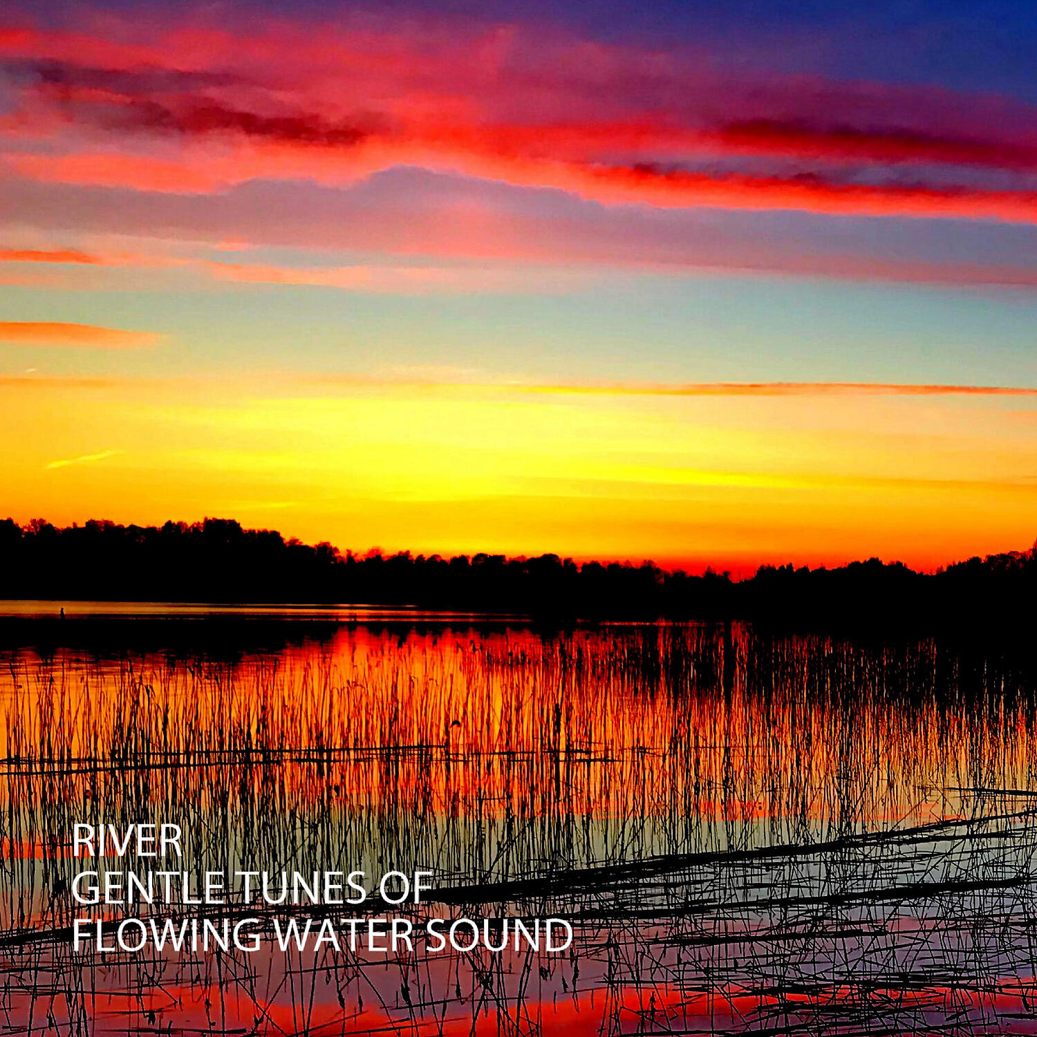 Classical Music For Relaxation - Sleep Easy Music