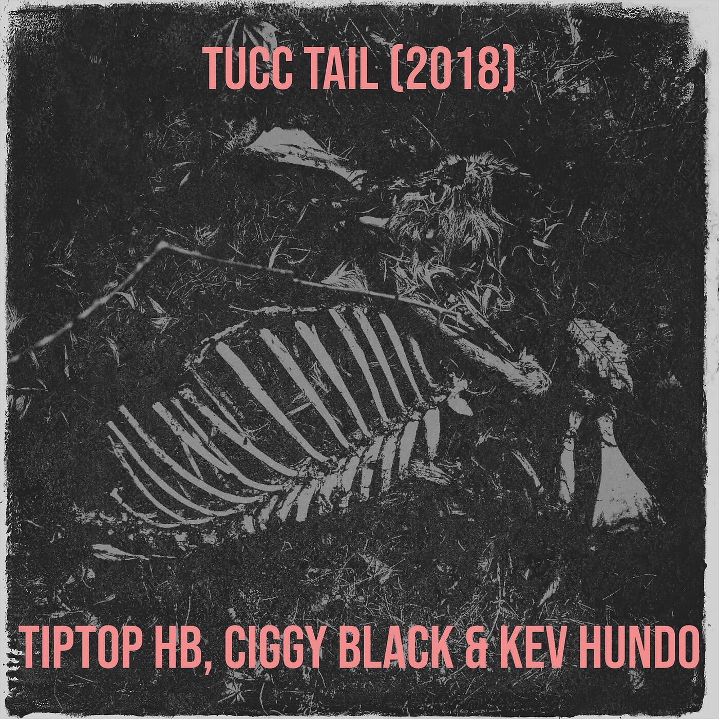 TipTop HB - Tucc Tail (2018)