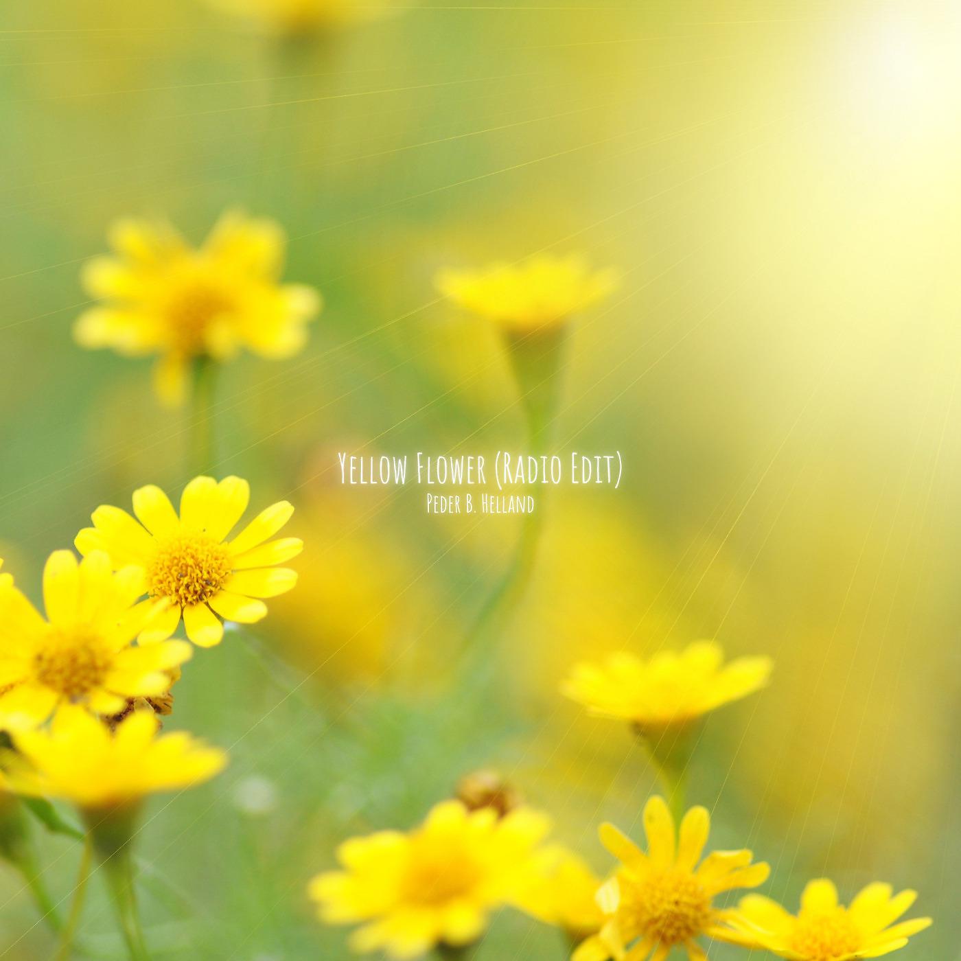Постер альбома Yellow Flower (Radio Edit)