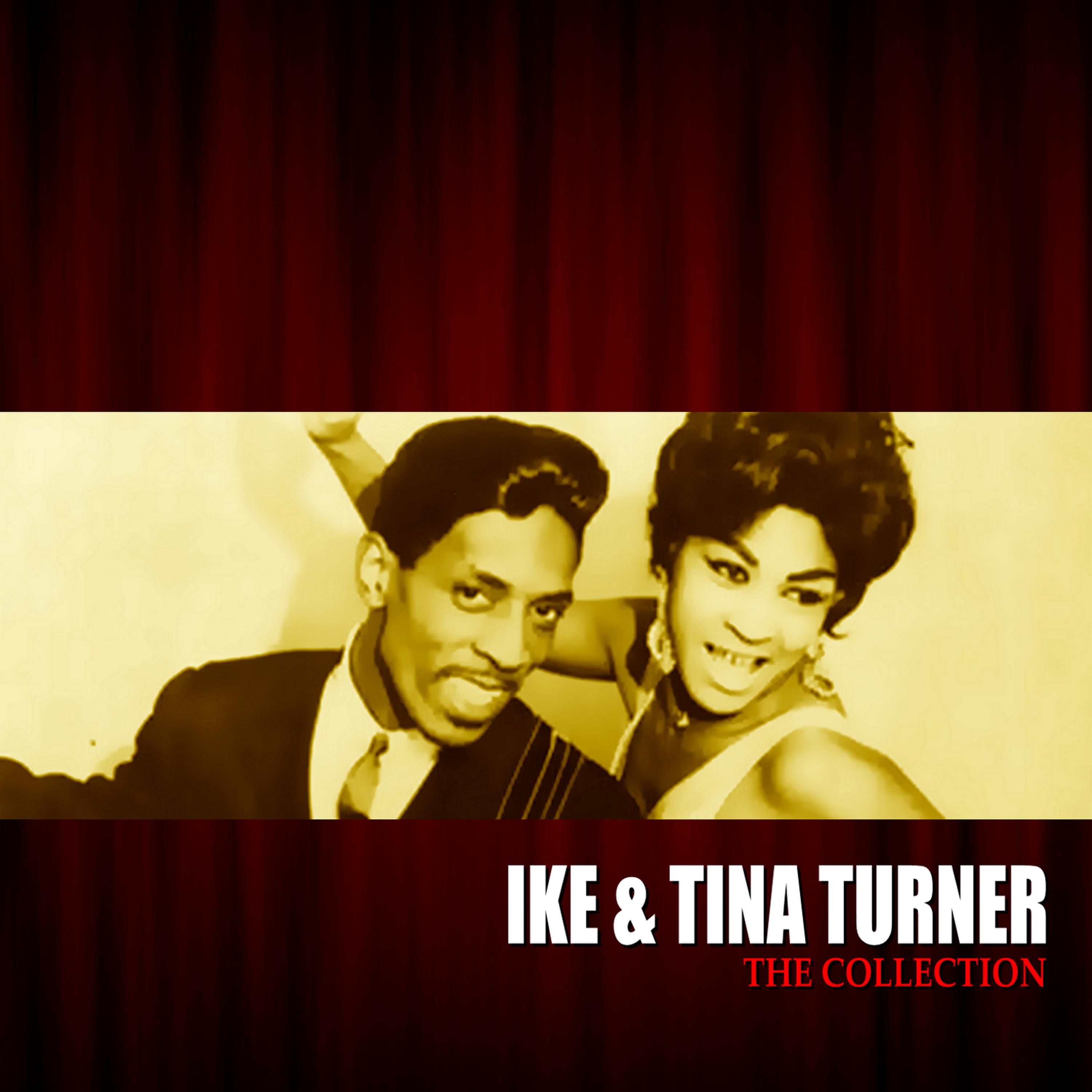 Постер альбома The Ike & Tina Turner Collection