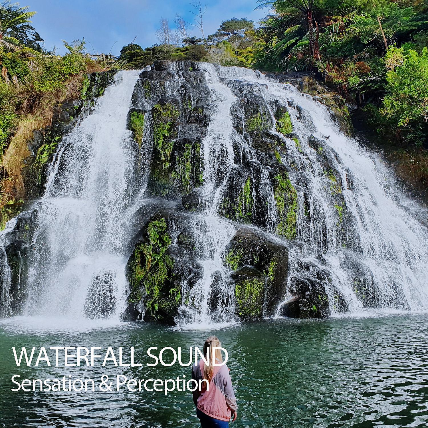 Постер альбома Waterfall Sound: Sensation & Perception