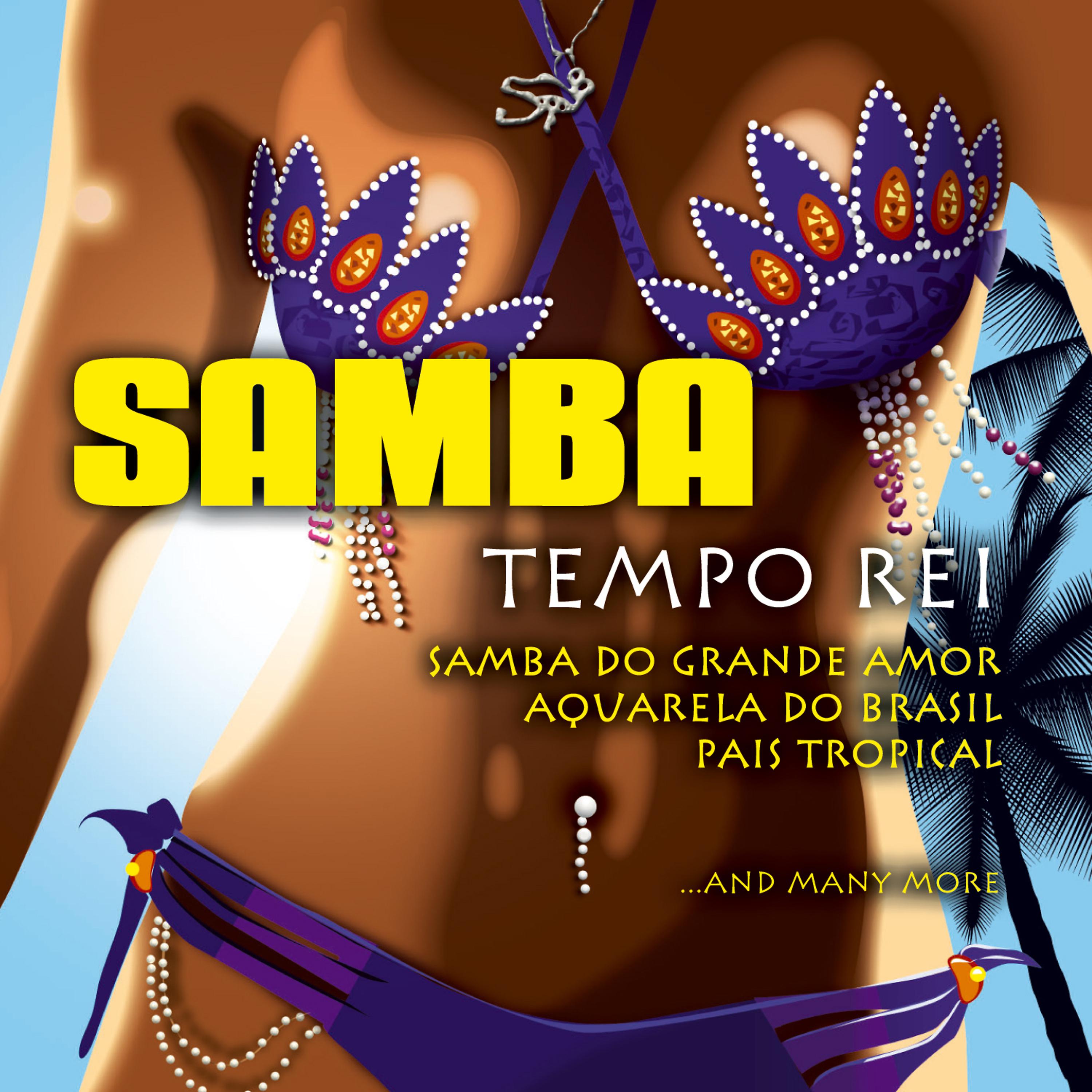 Постер альбома Samba