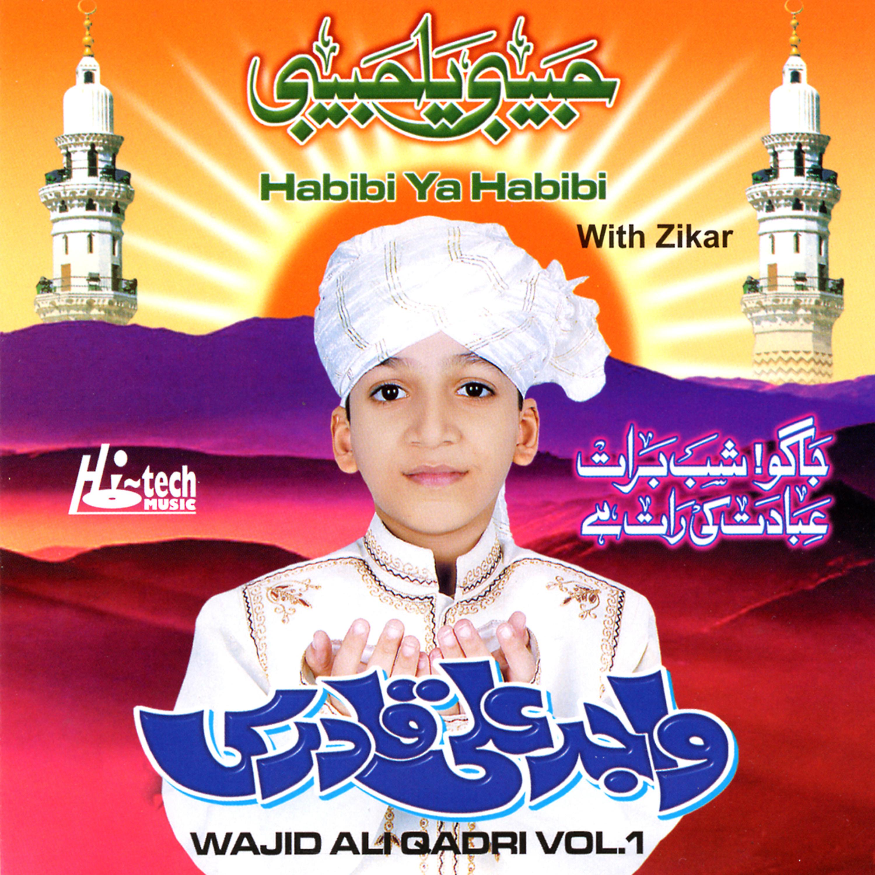 Muhammad Wajid Ali Qadri - Habibi Ya Habibi