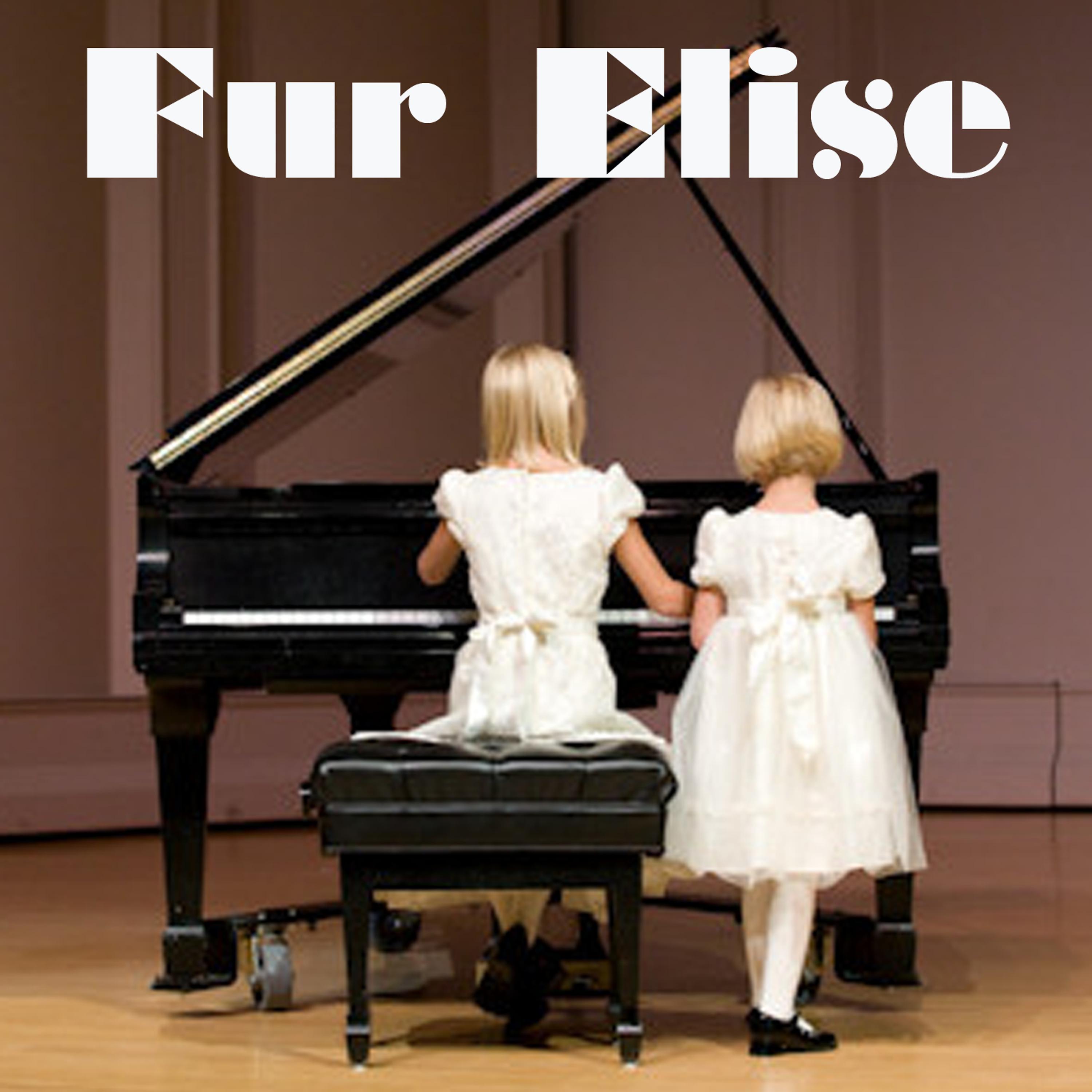Постер альбома Fur Elise (Beethoven Salute)