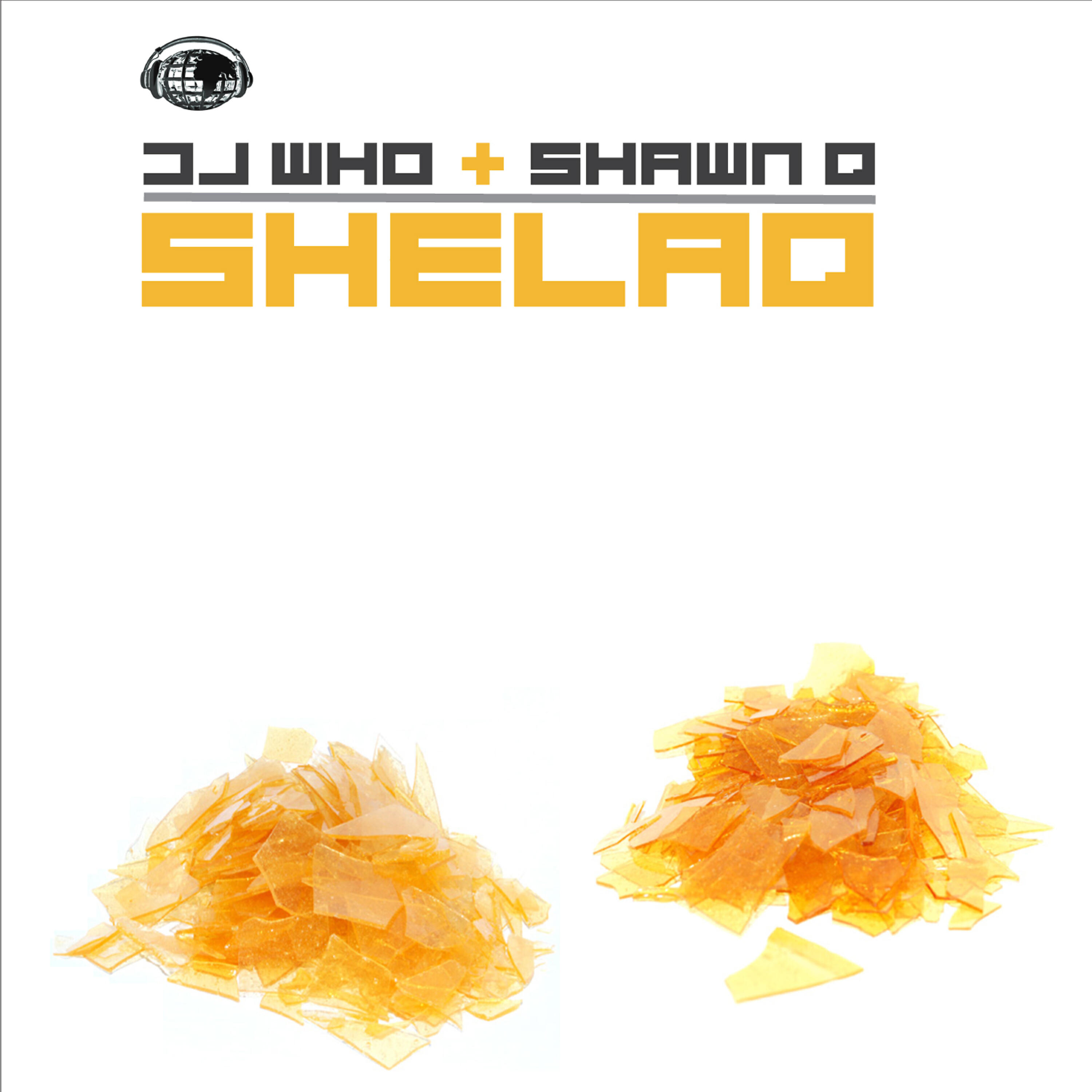 DJ Who - Shelaq (Shawn Q's Nutso Mix)