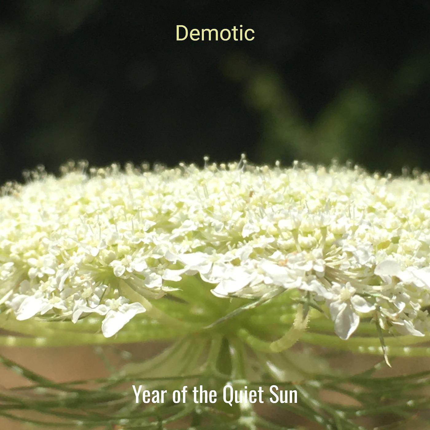 Постер альбома Demotic