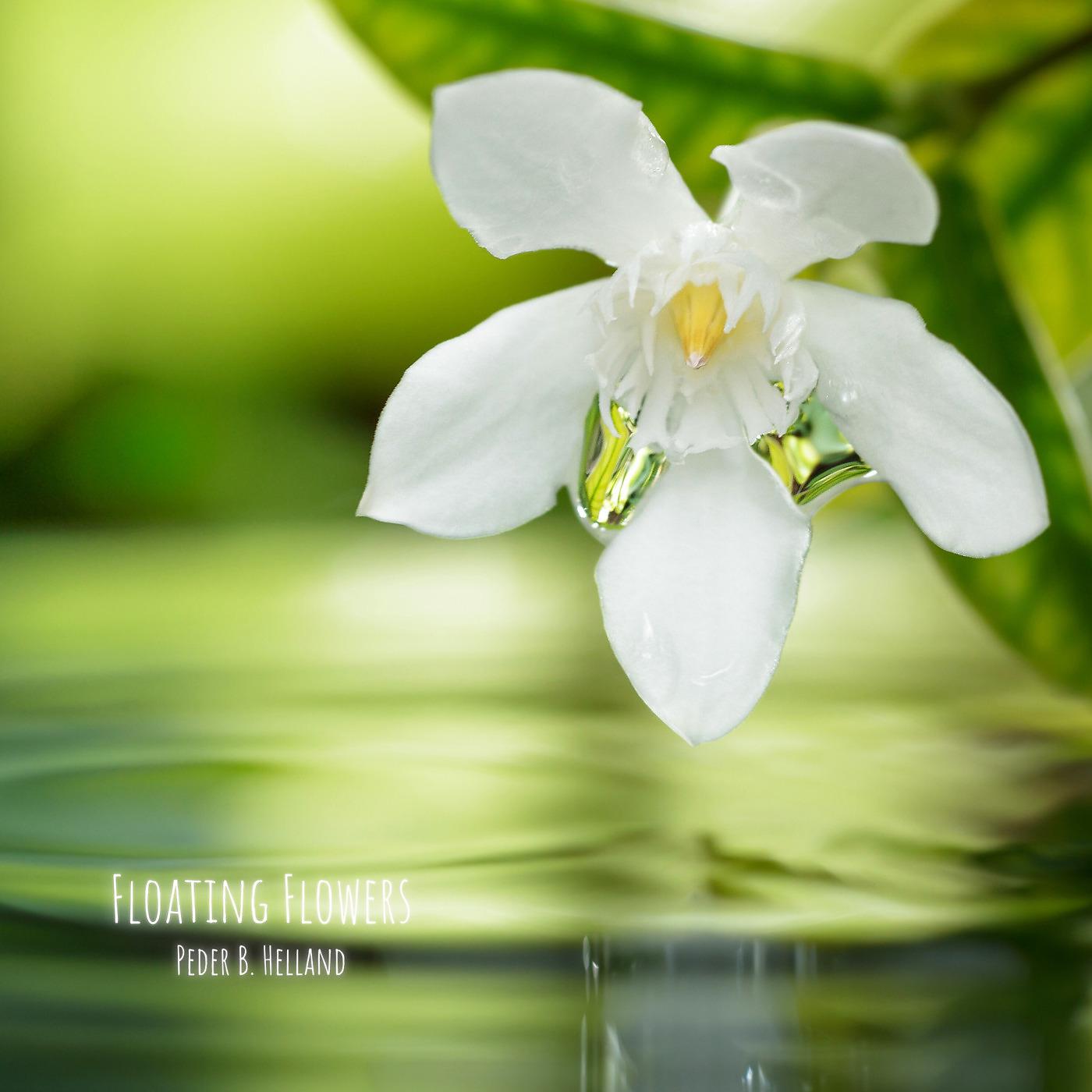 Постер альбома Floating Flowers
