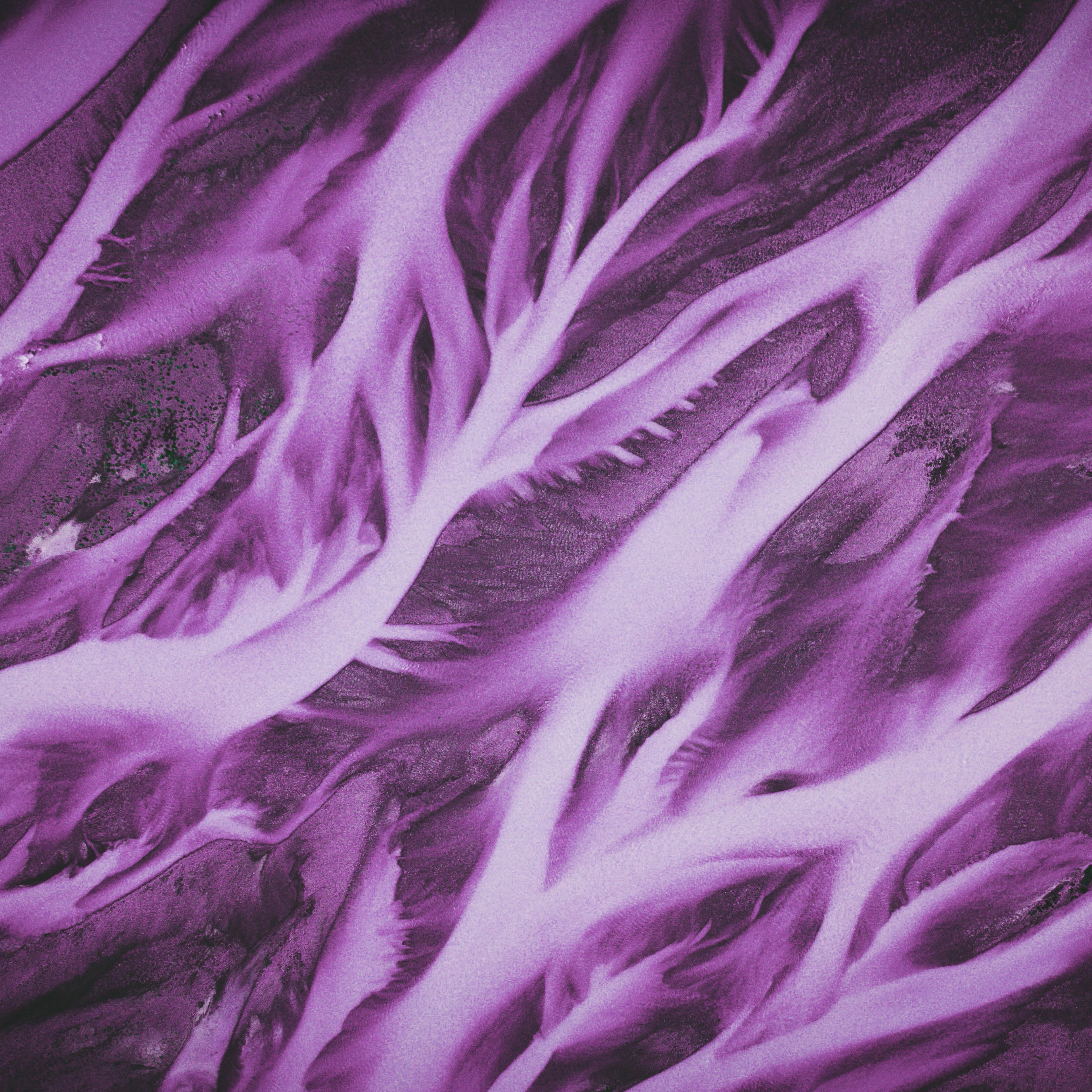 Постер альбома Фиолетовый закат