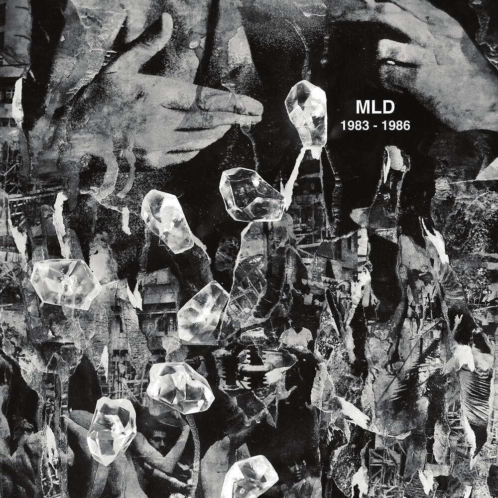 MLD - Dynamo