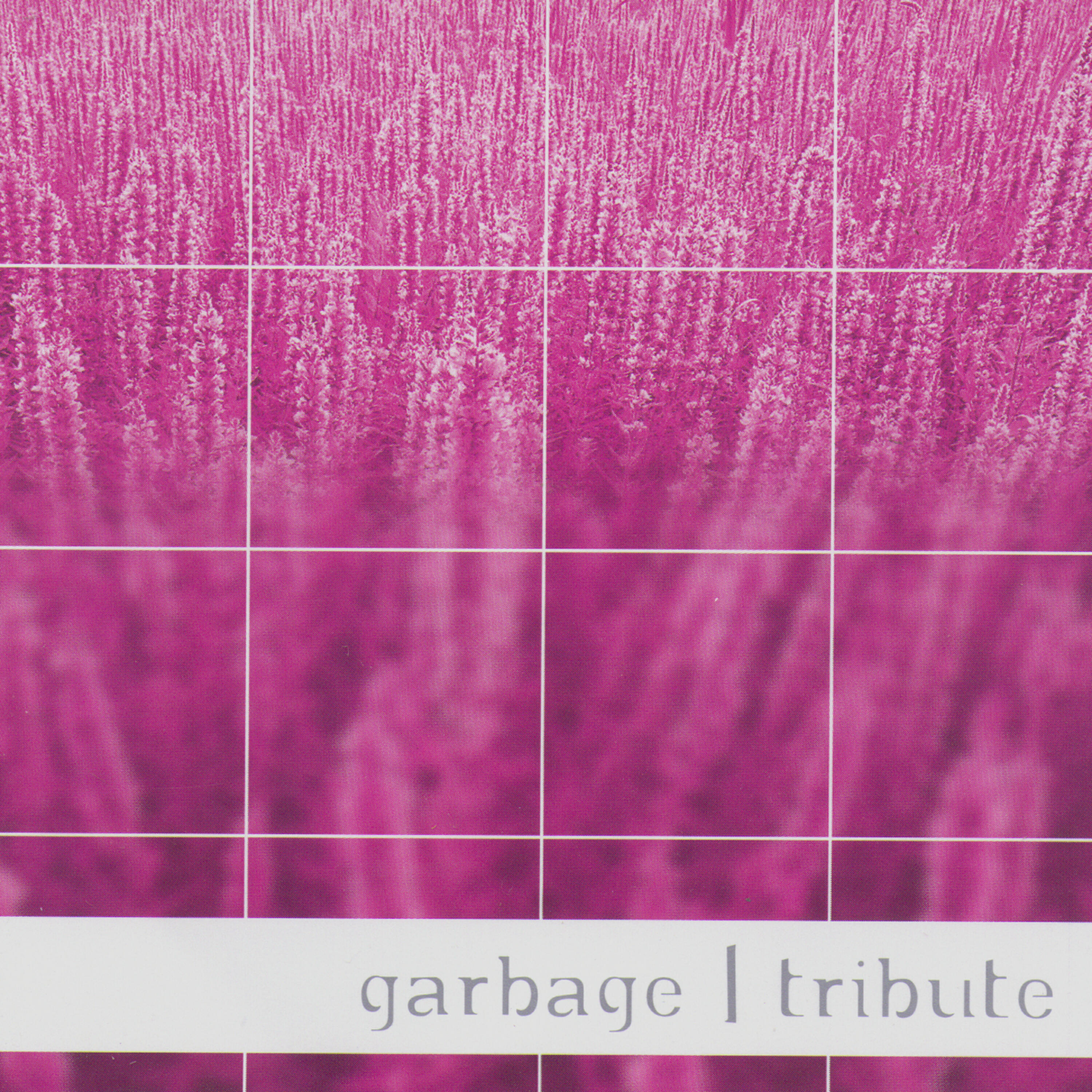 Garbage Tribute Band - World Is Not Enough