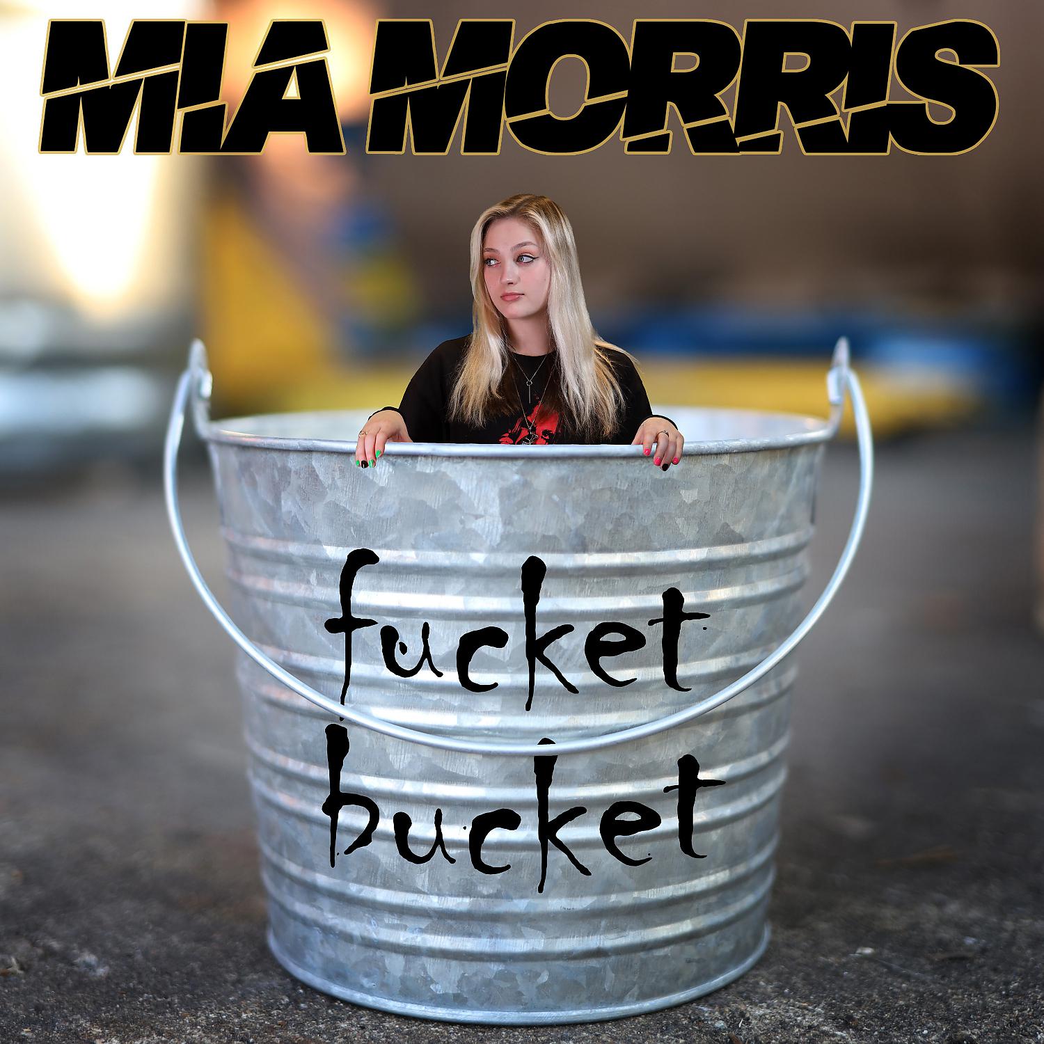 Постер альбома fucket bucket
