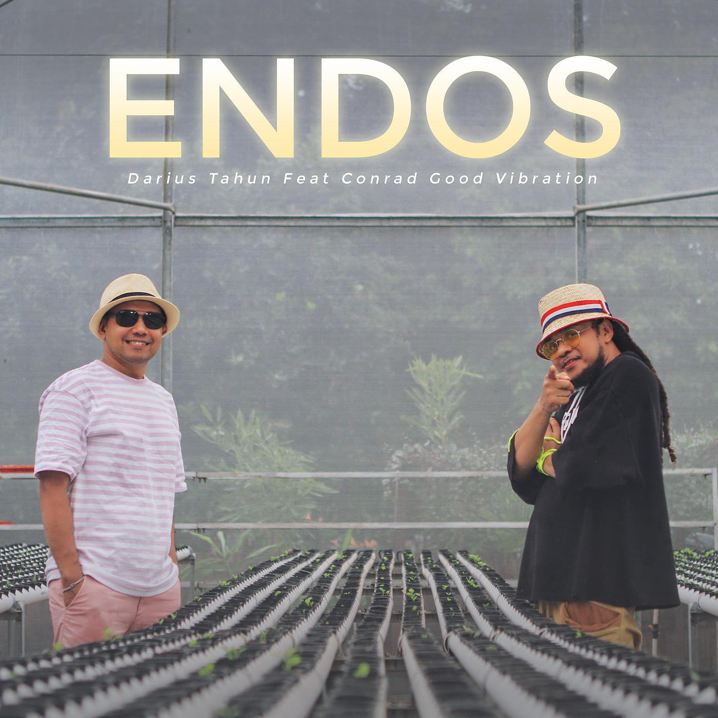 Постер альбома Endos