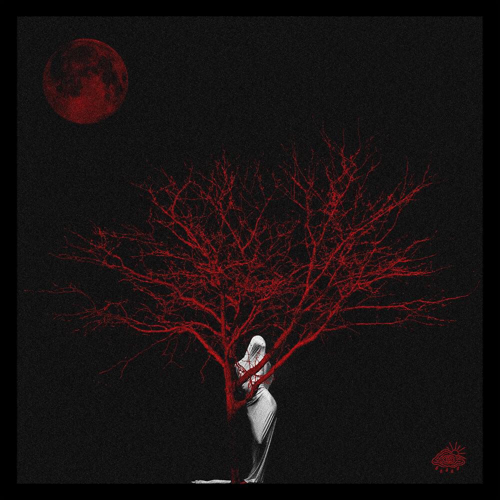 SUDECI - One Day Later