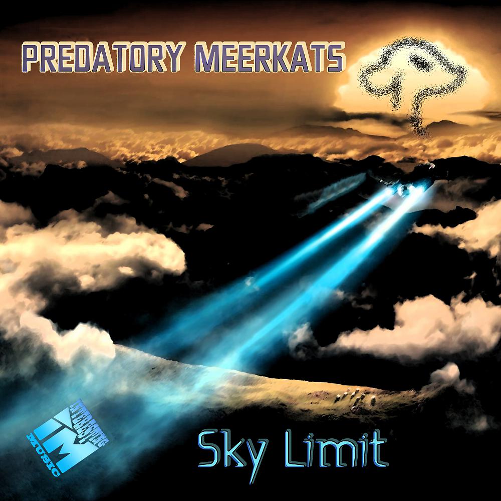 Постер альбома Sky Limit