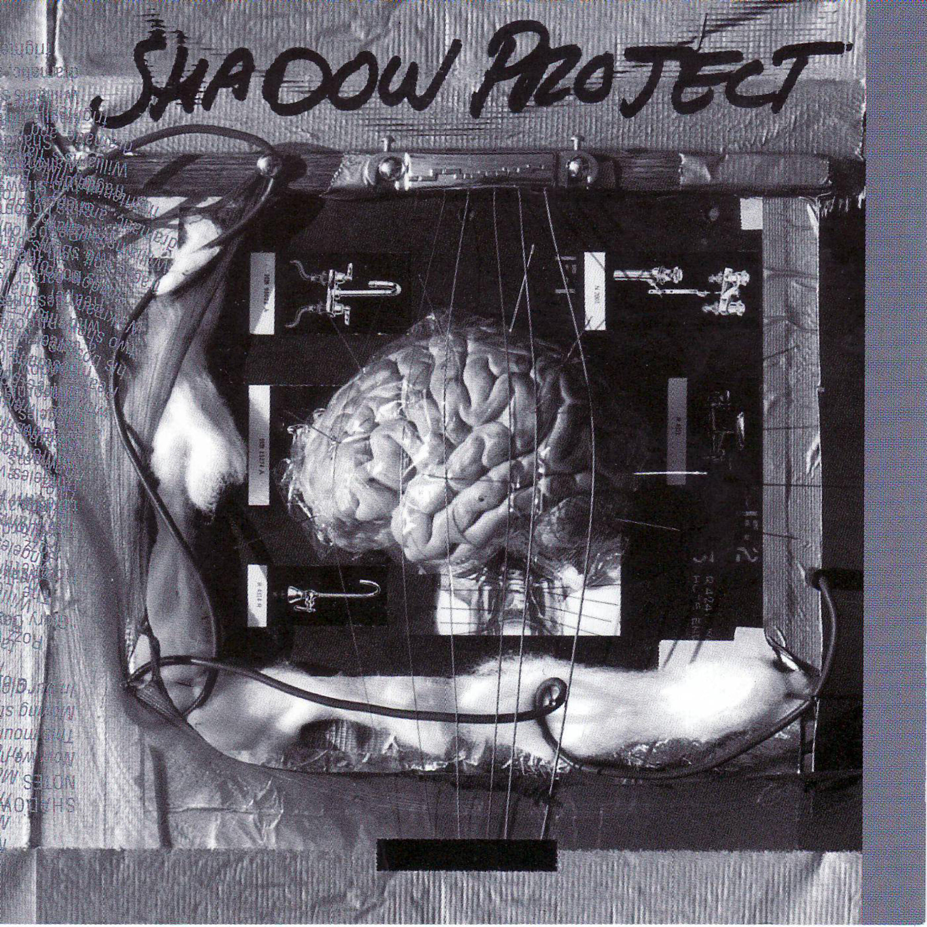 Shadow Project - Death Plays His Role