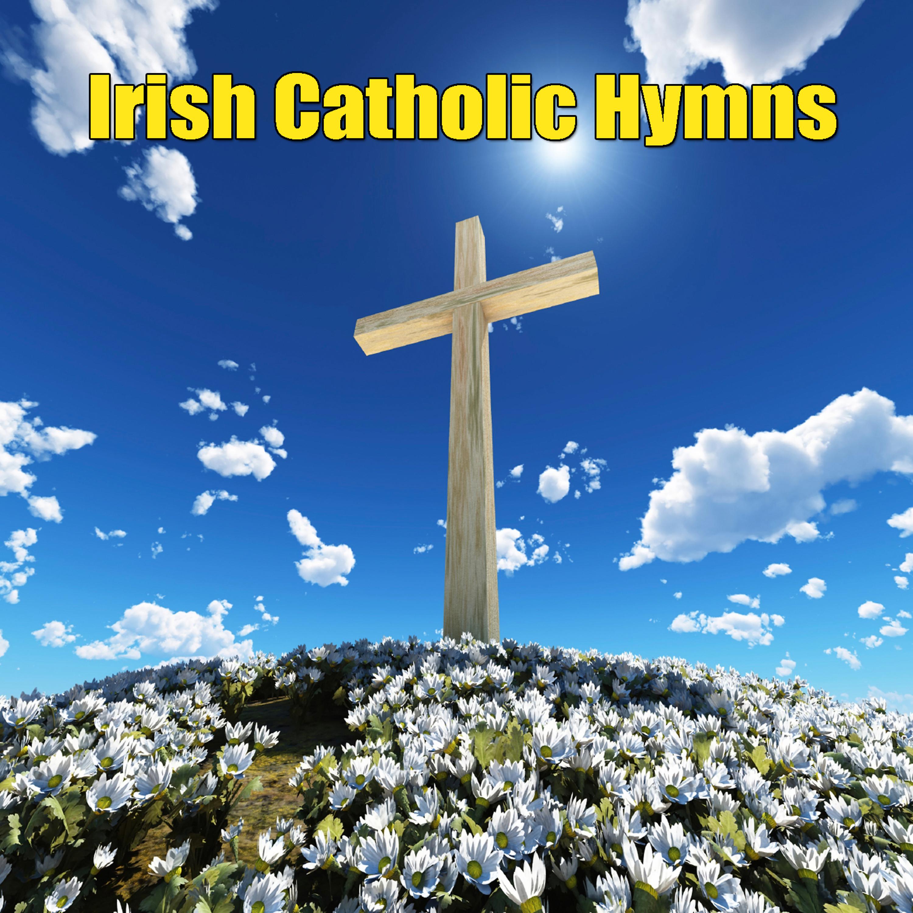 Постер альбома Irish Catholic Hymns