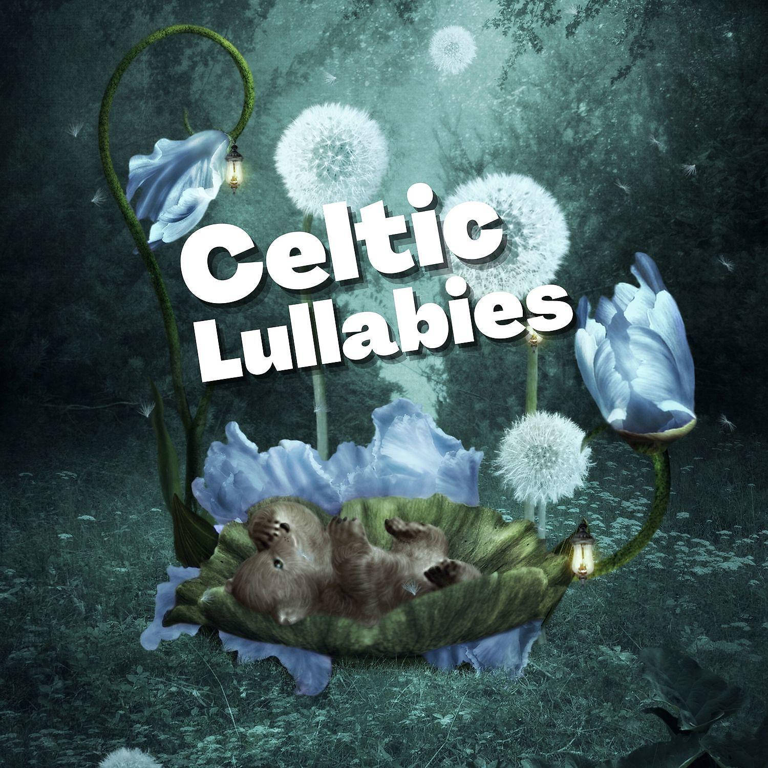 Постер альбома Celtic Lullabies - Calmness