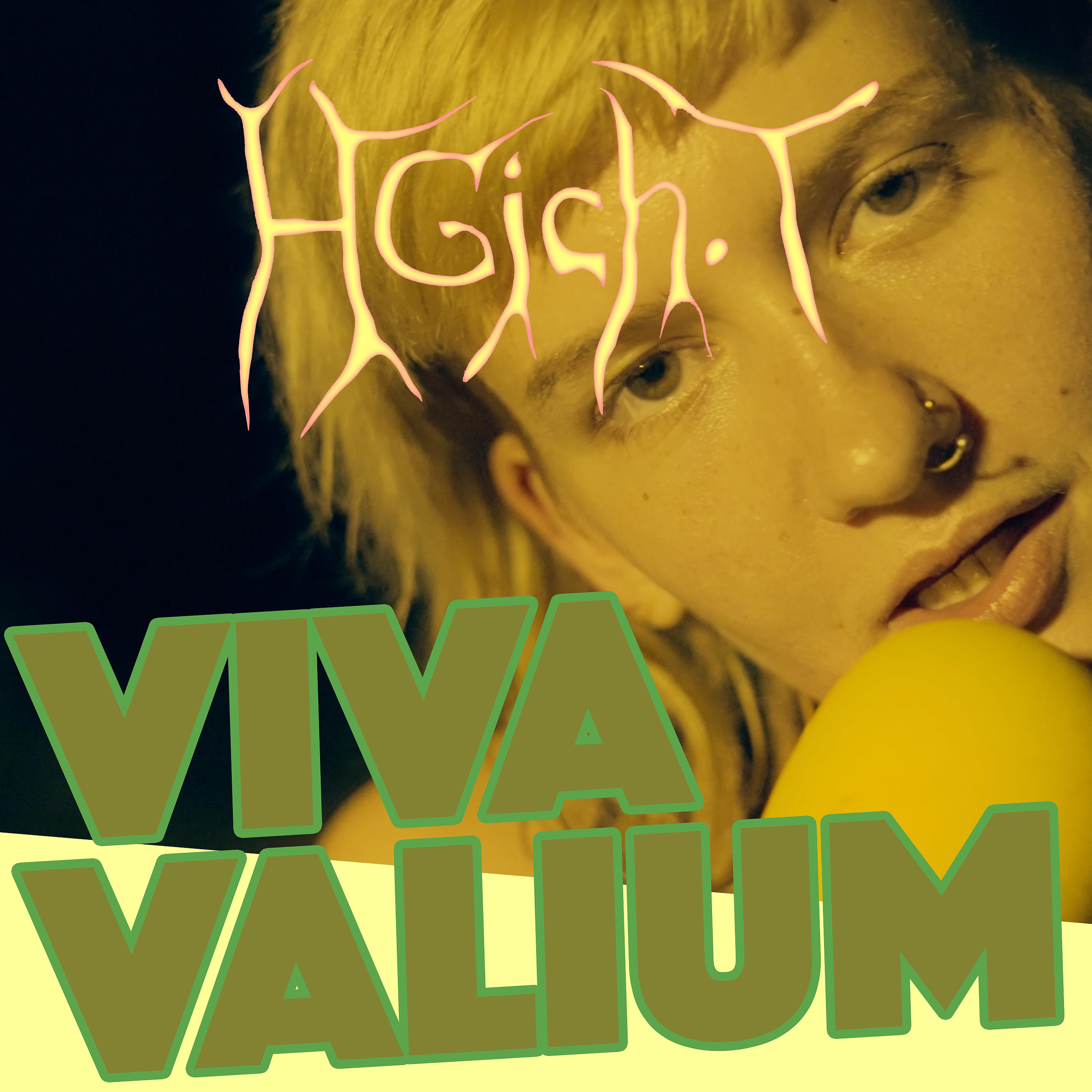 Постер альбома Viva Valium