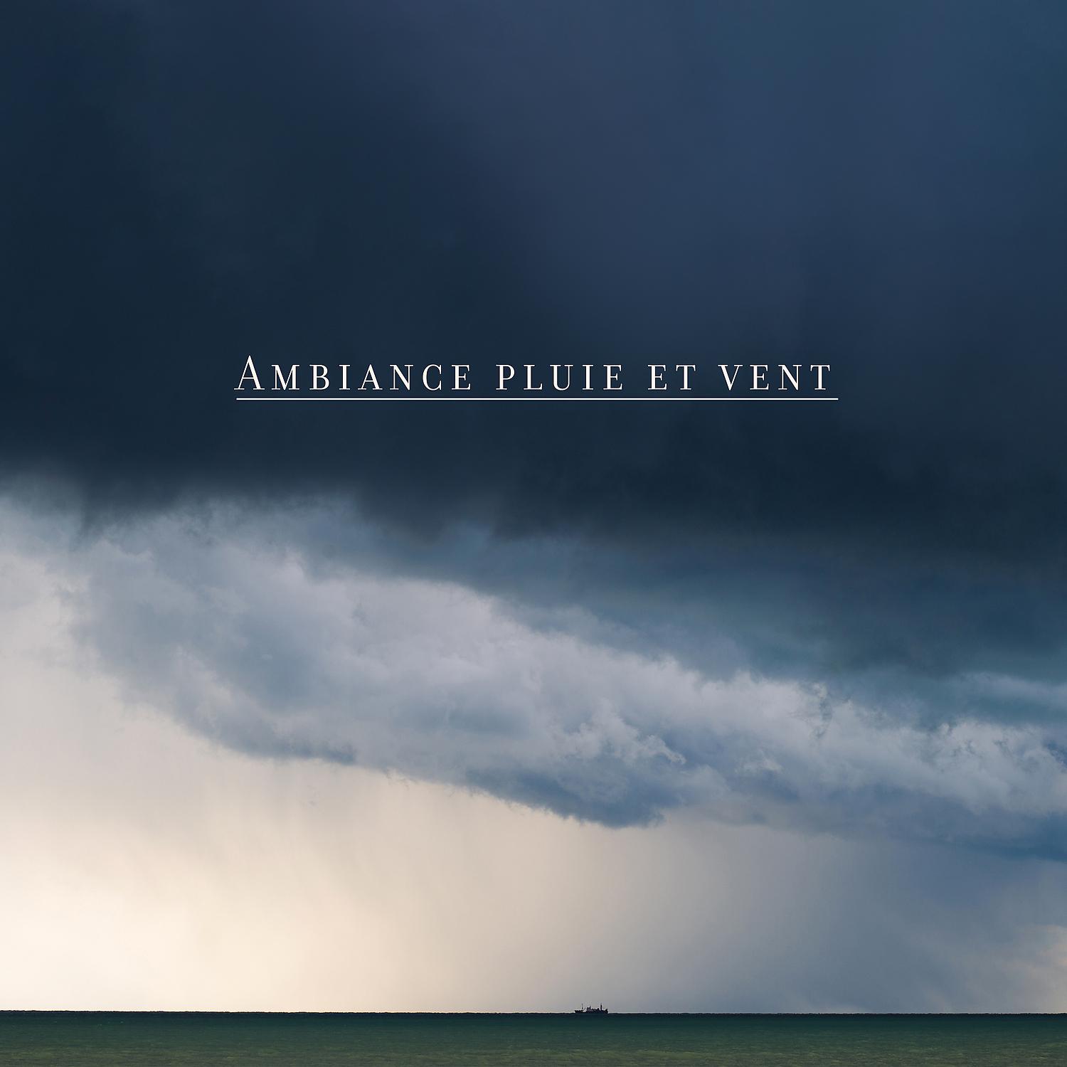 Постер альбома Ambiance pluie et vent: Bruit blanc