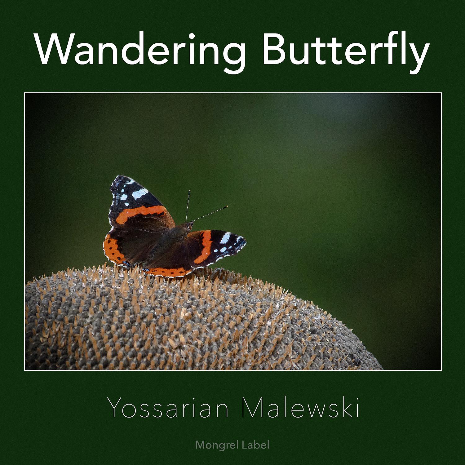 Постер альбома Wandering Butterfly