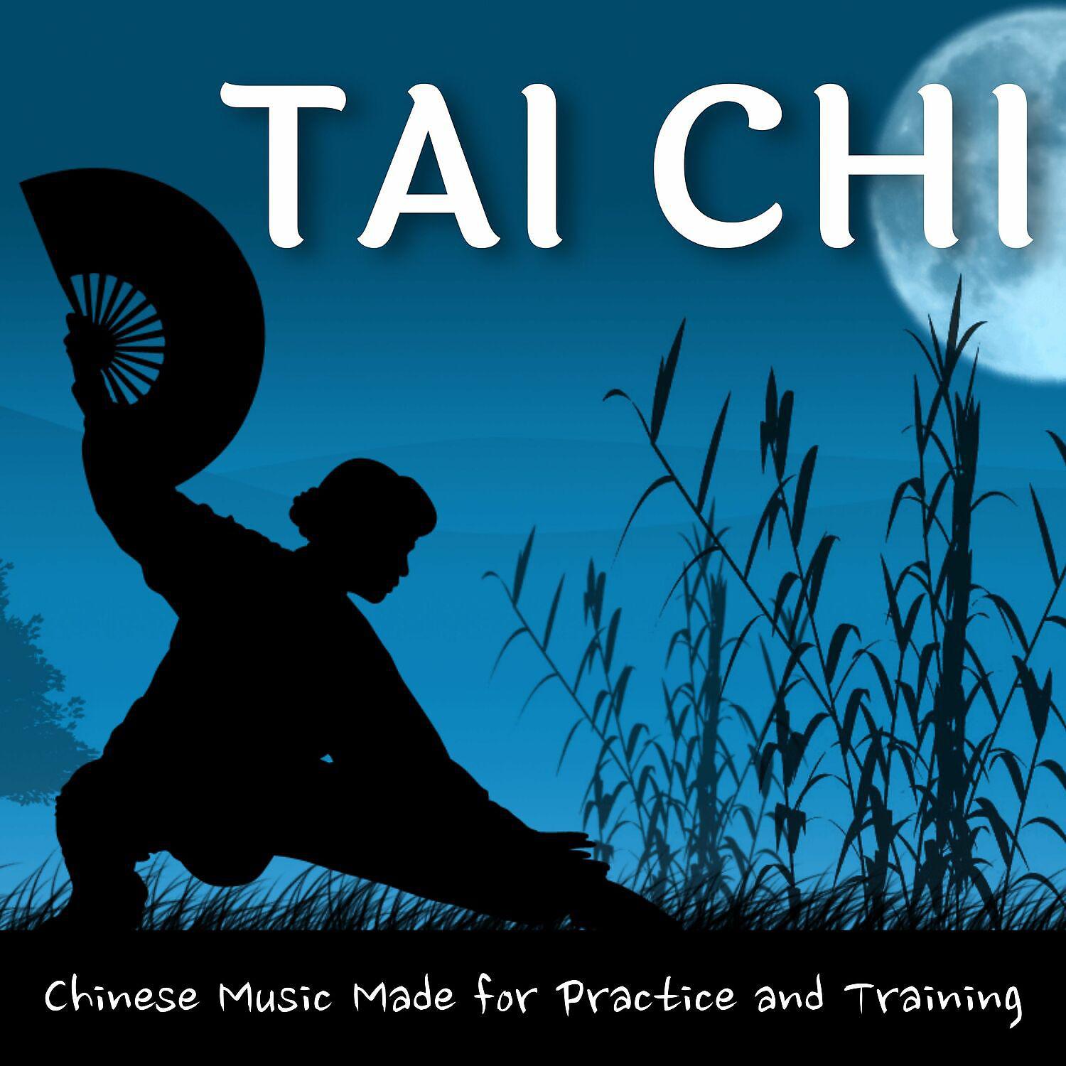 Постер альбома Tai Chi, Chinese Music Made for Practice and Training