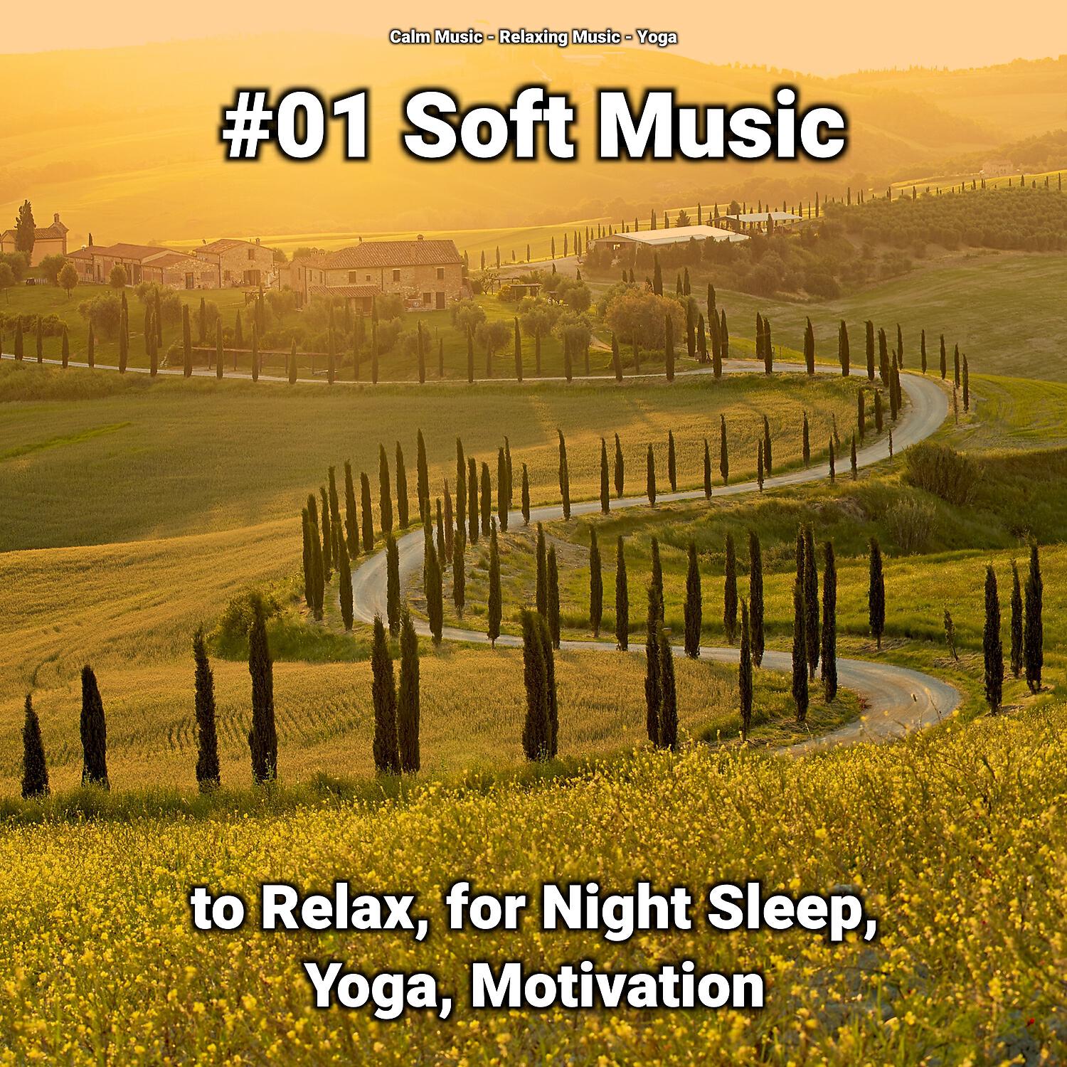 Calm Music - Calm Music