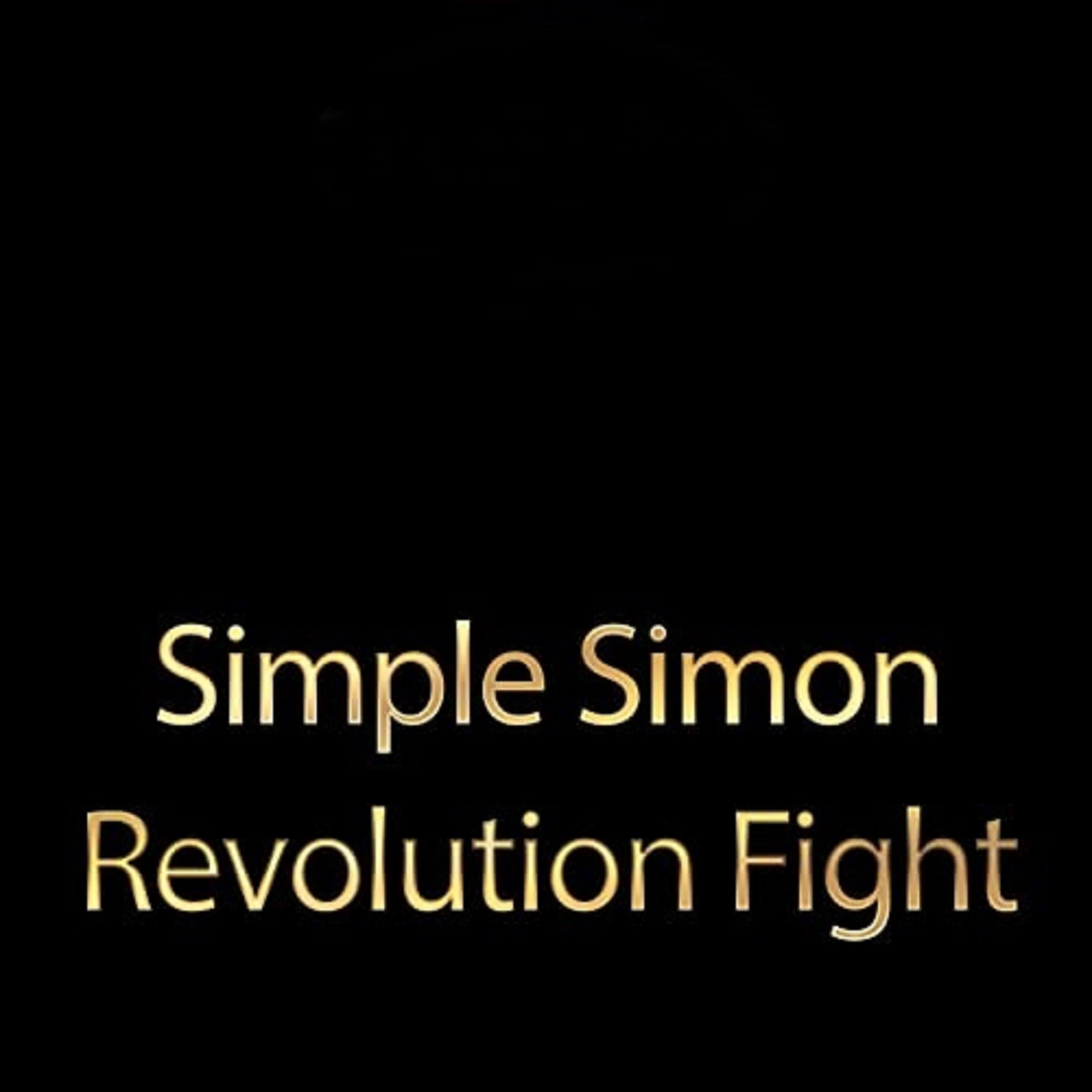 Постер альбома Revolution Fight