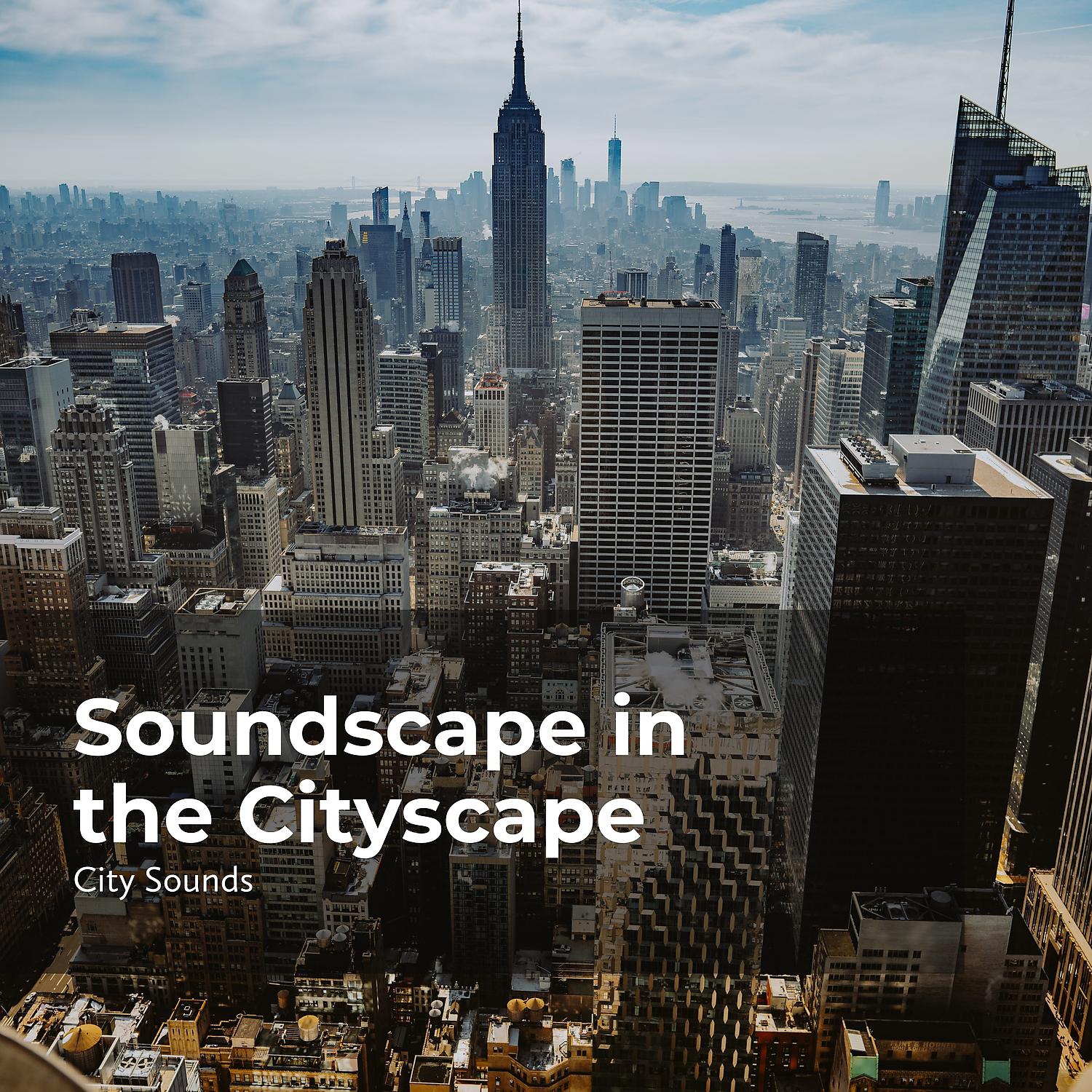 Постер альбома Soundscape in the Cityscape
